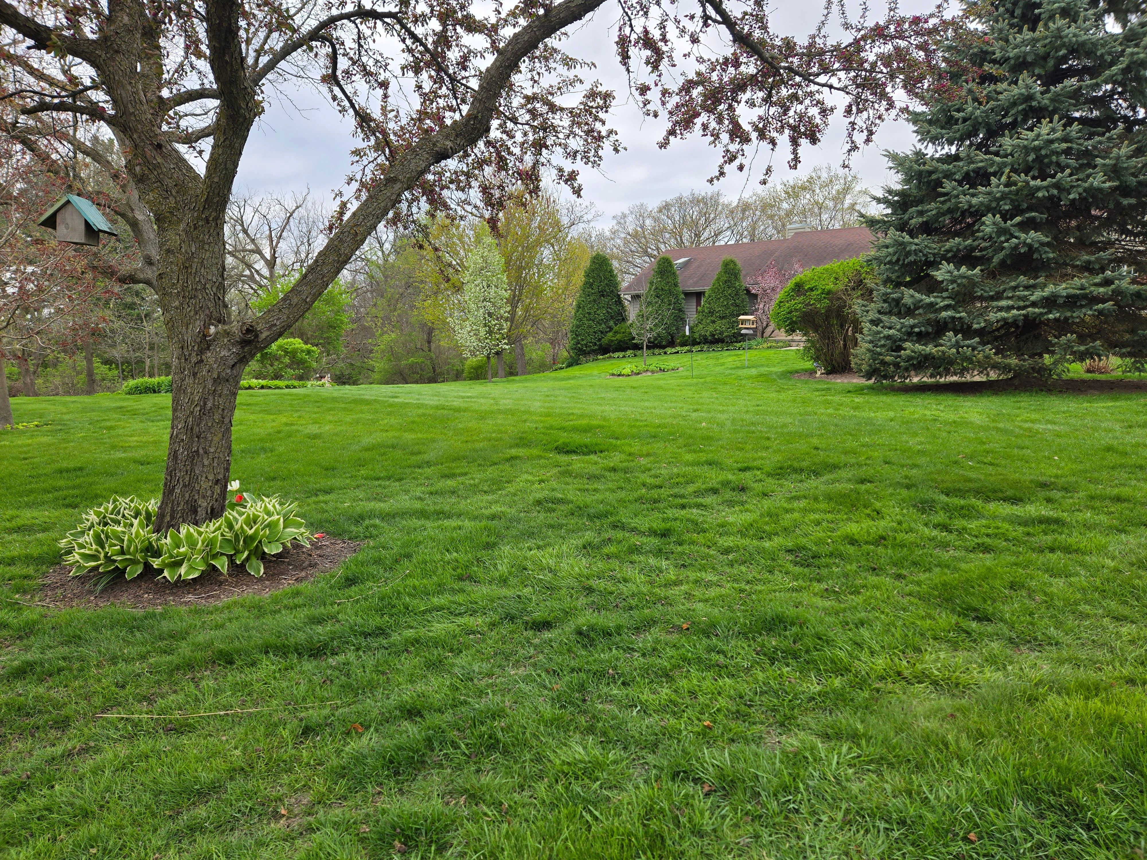 All Photos for Elite Landscaping in Hampshire, IL