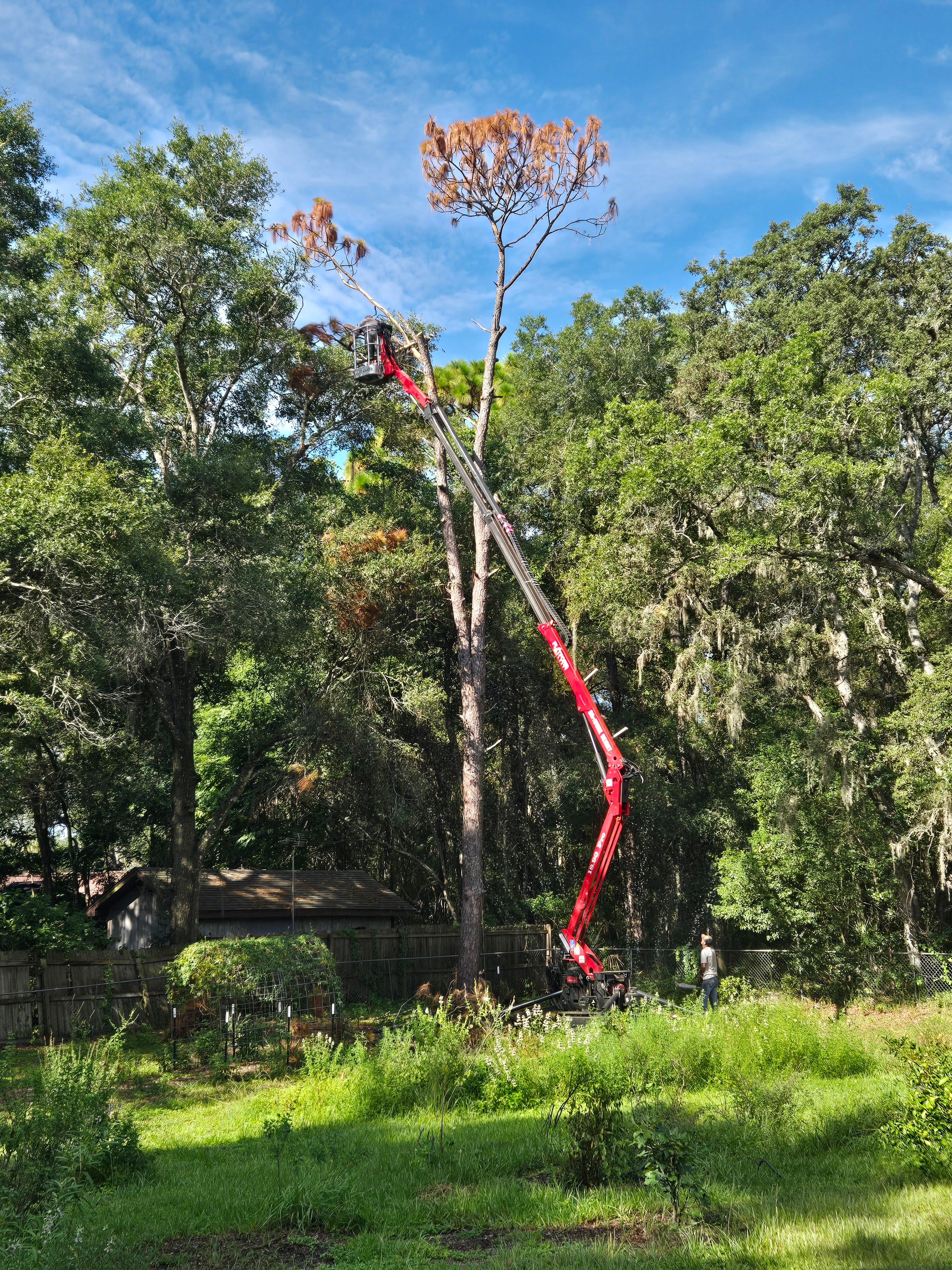 All Photos for Near Me Tree Service, Inc. in DeLand, FL
