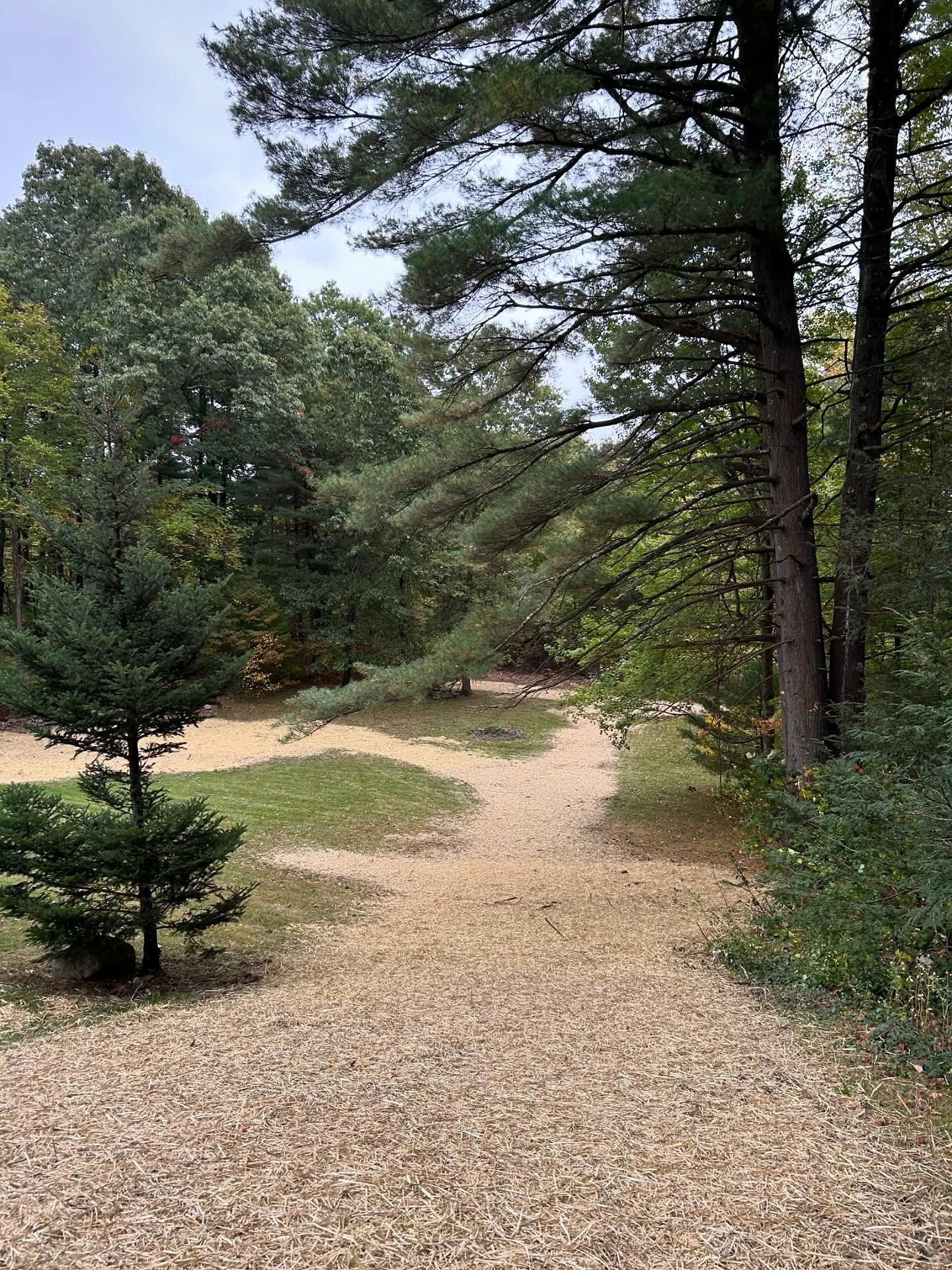 for Remington Construction in Suffield, CT