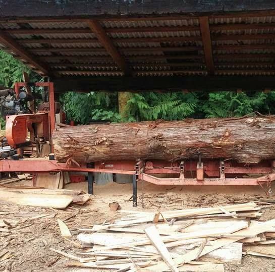  for The Baskins Sawmill in Port Angeles,  WA