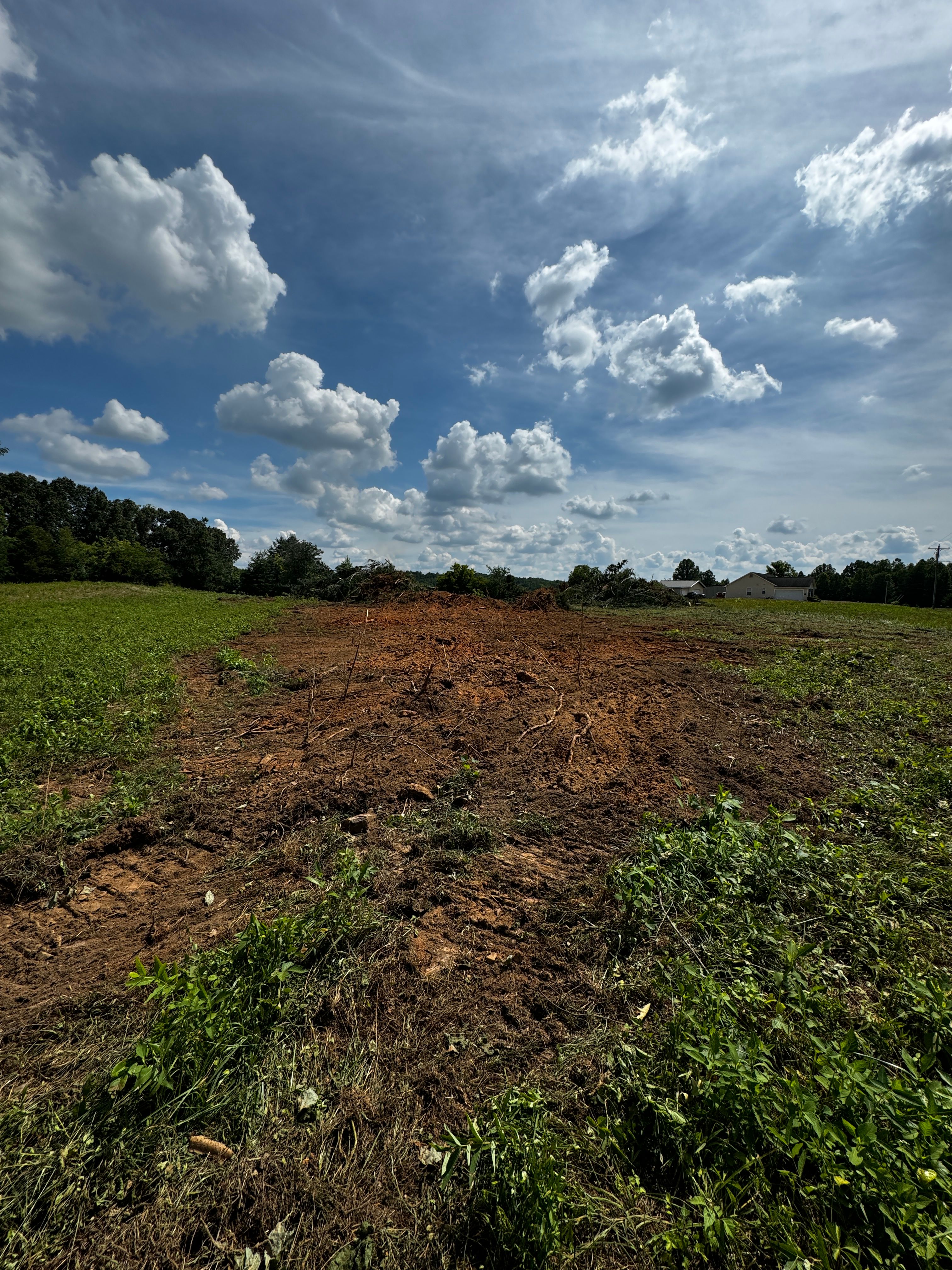  for Cone Grading and Land Clearing in Summerfield, NC