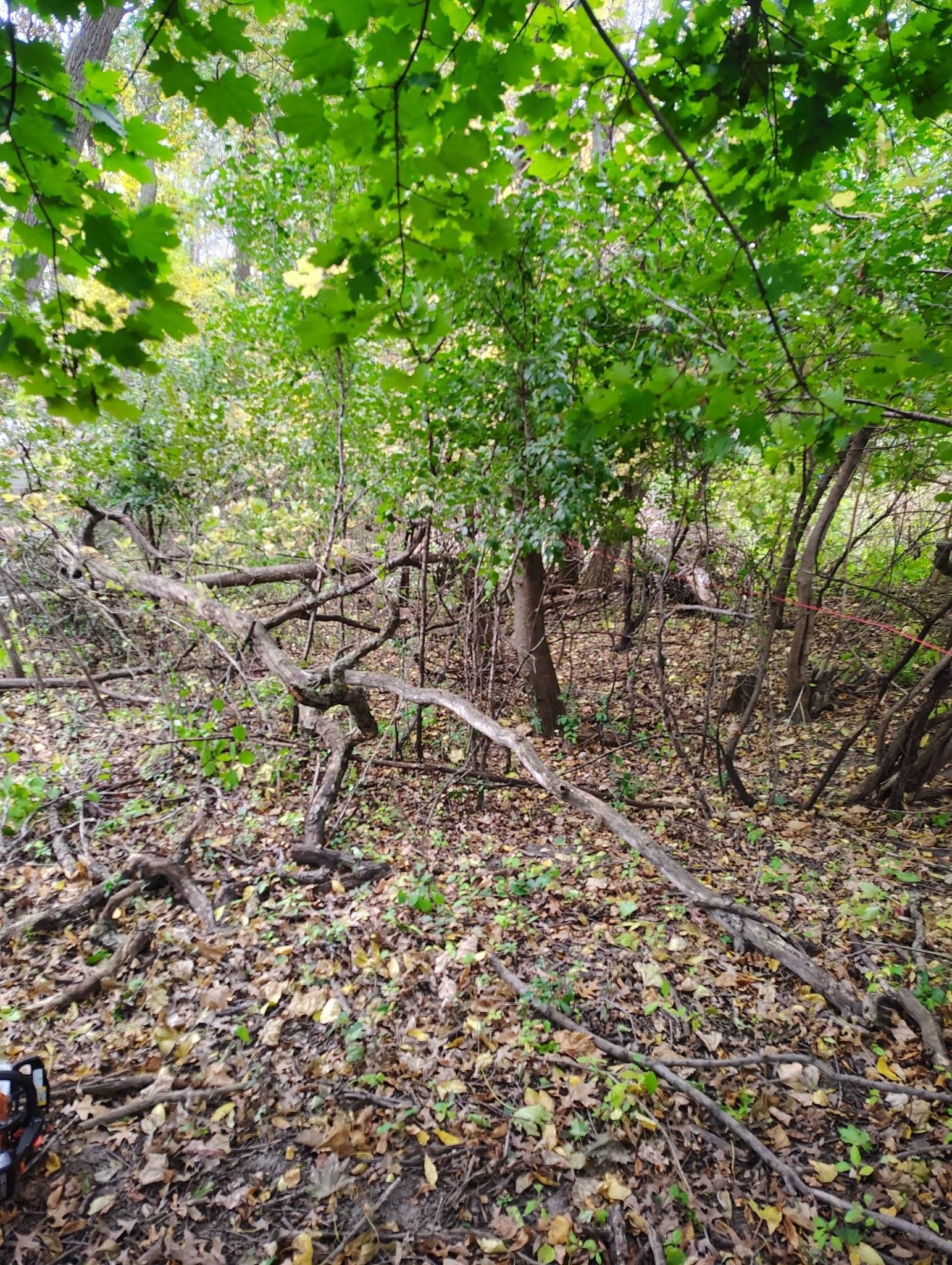 All Photos for Big River lawn Care services and snow LLC in Wausau, WI