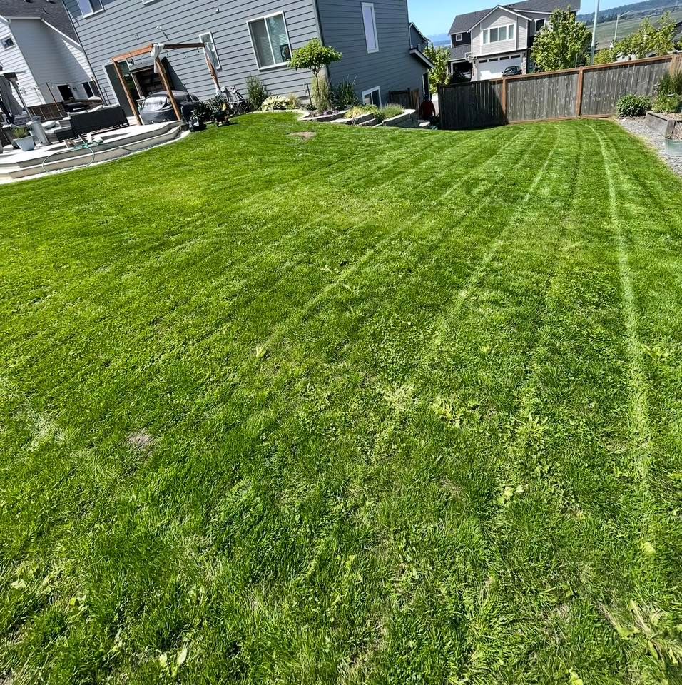  for B.U Landscaping in Everett, WA