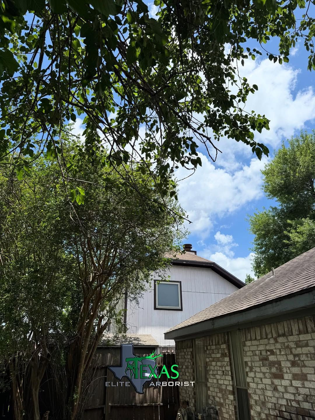  for Texas Elite Arborist in Houston, TX