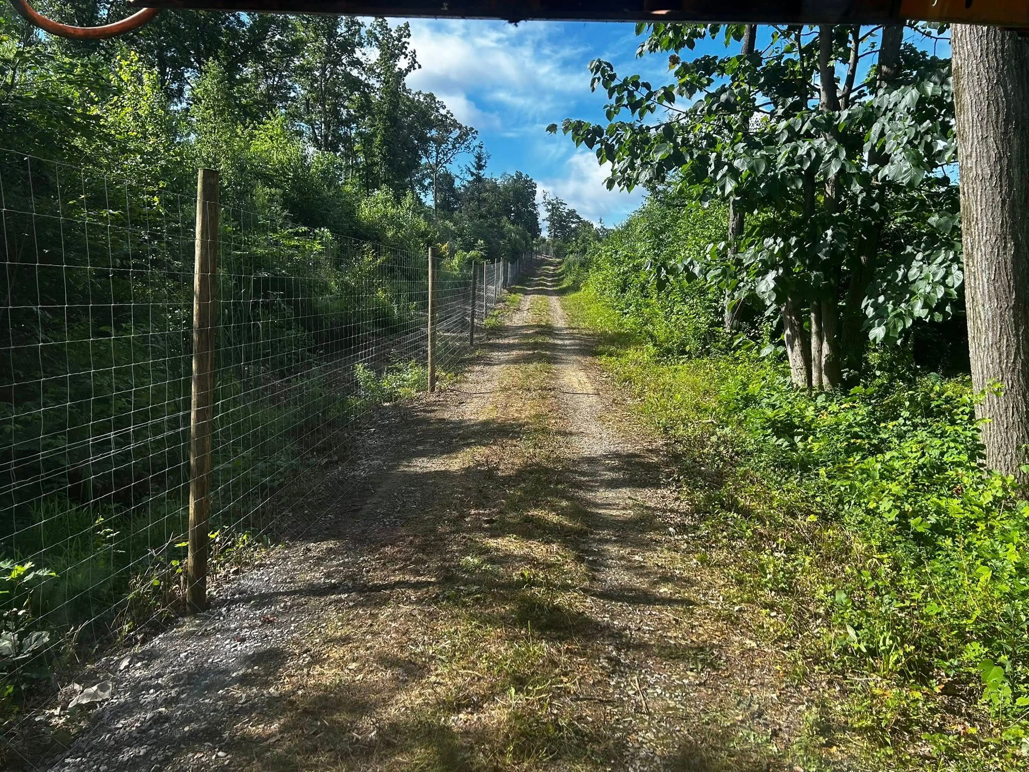  for Pine Mountain Restoration, LLC Excavation and Fencing Contractor in Howard, PA