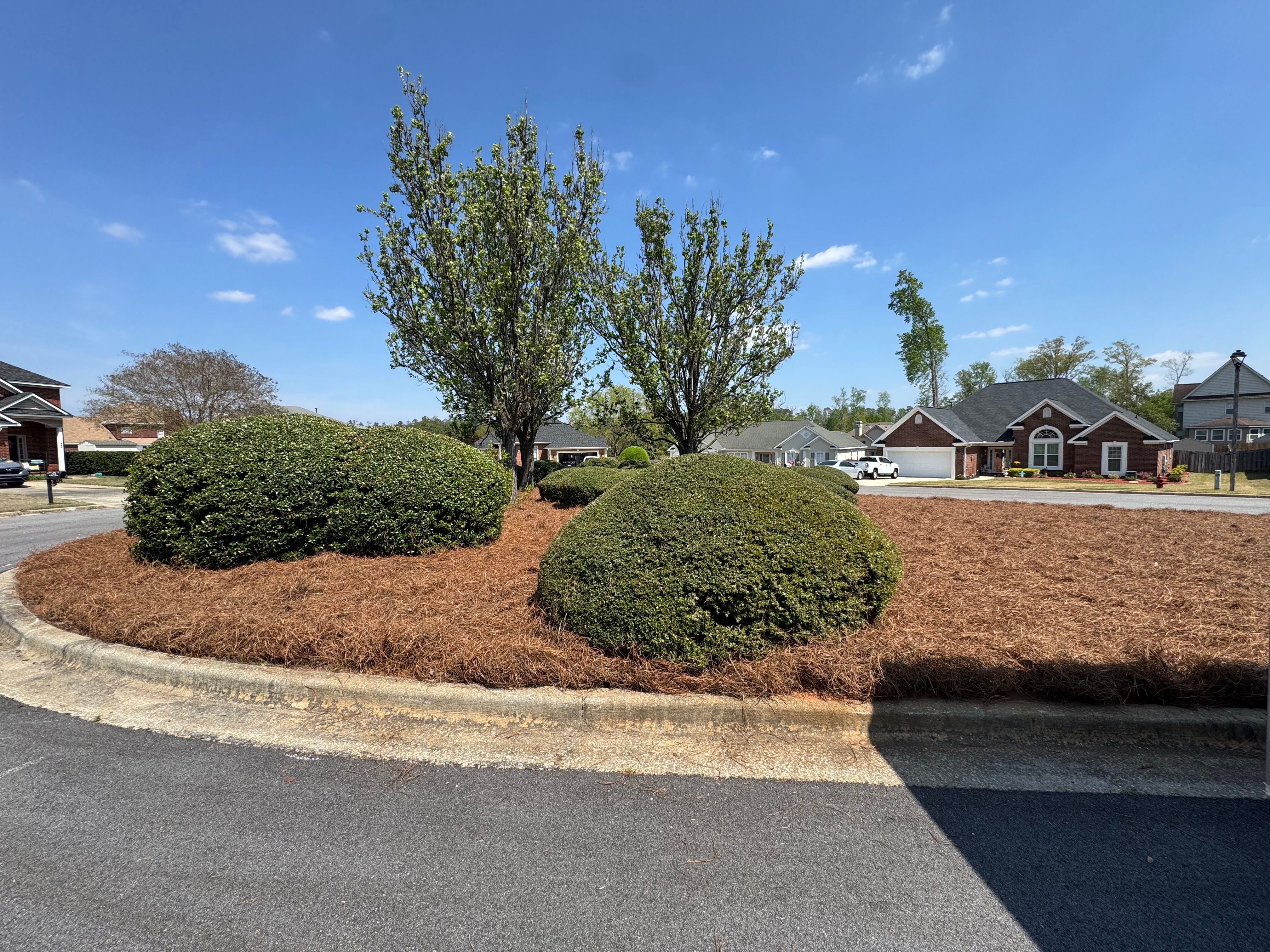  for Myles Mows in Augusta, GA