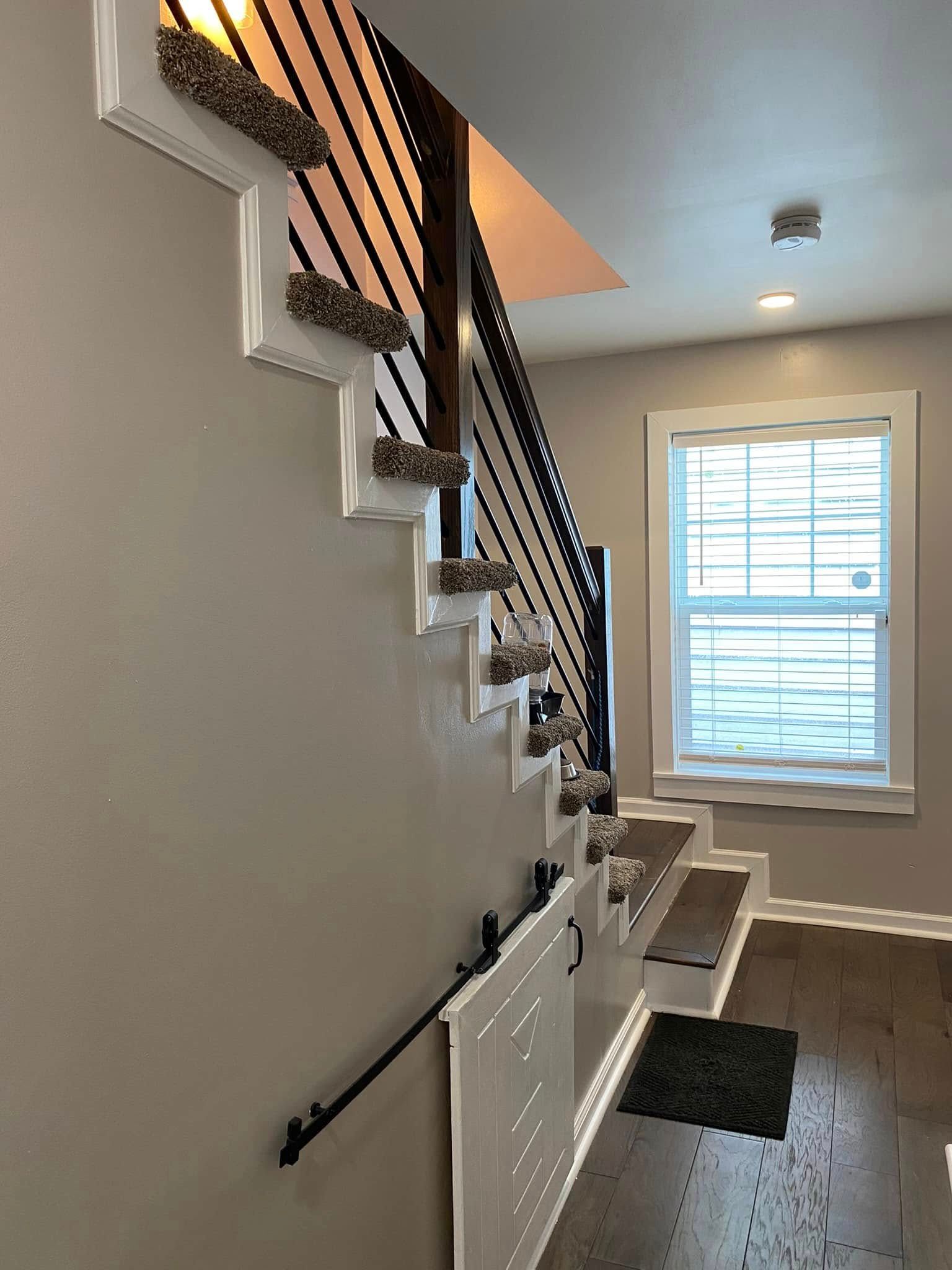  for B5’s Painting & General Services in Louisville, KY