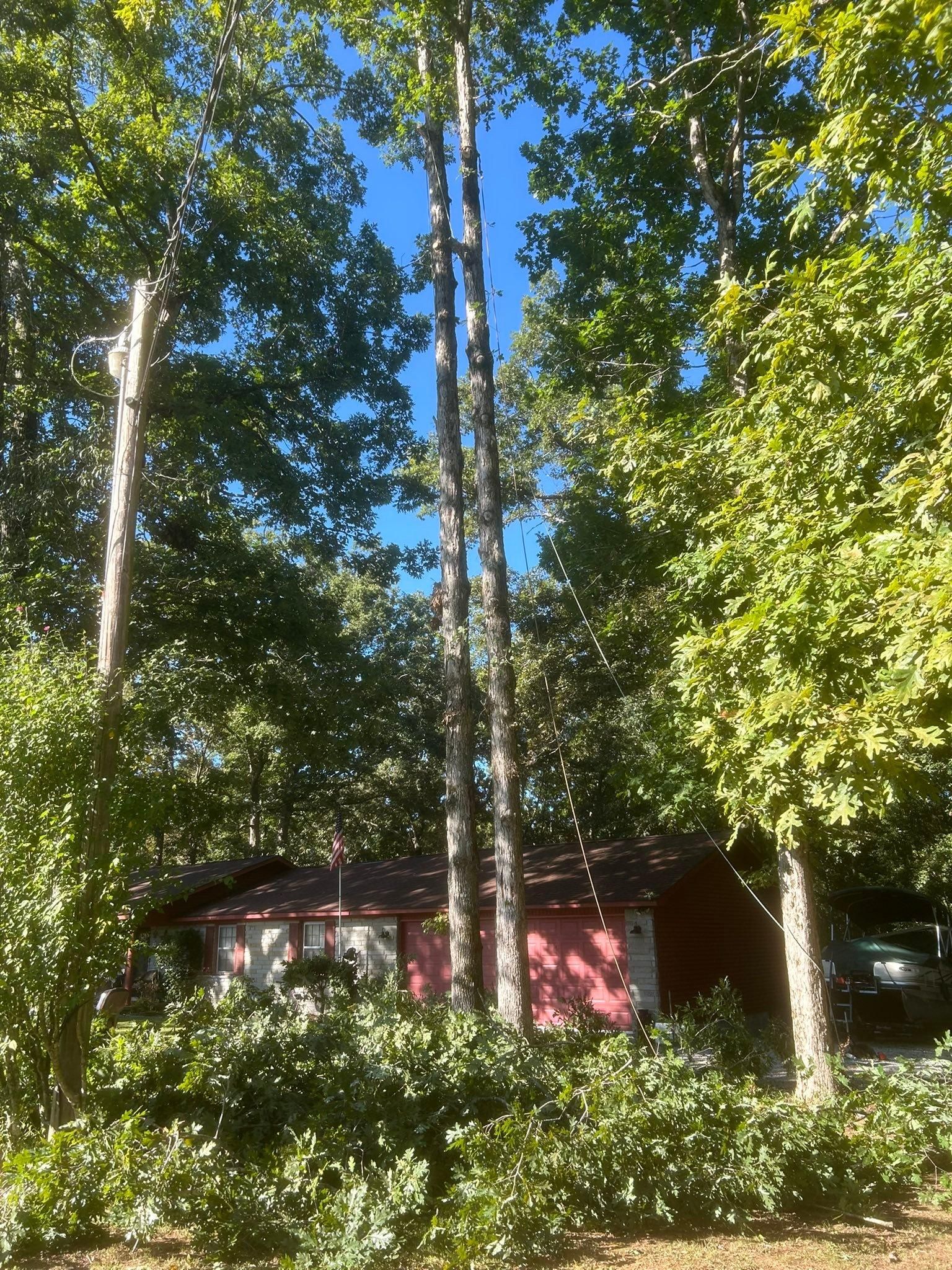  for McBee’s Tree Service in Sewanee, TN