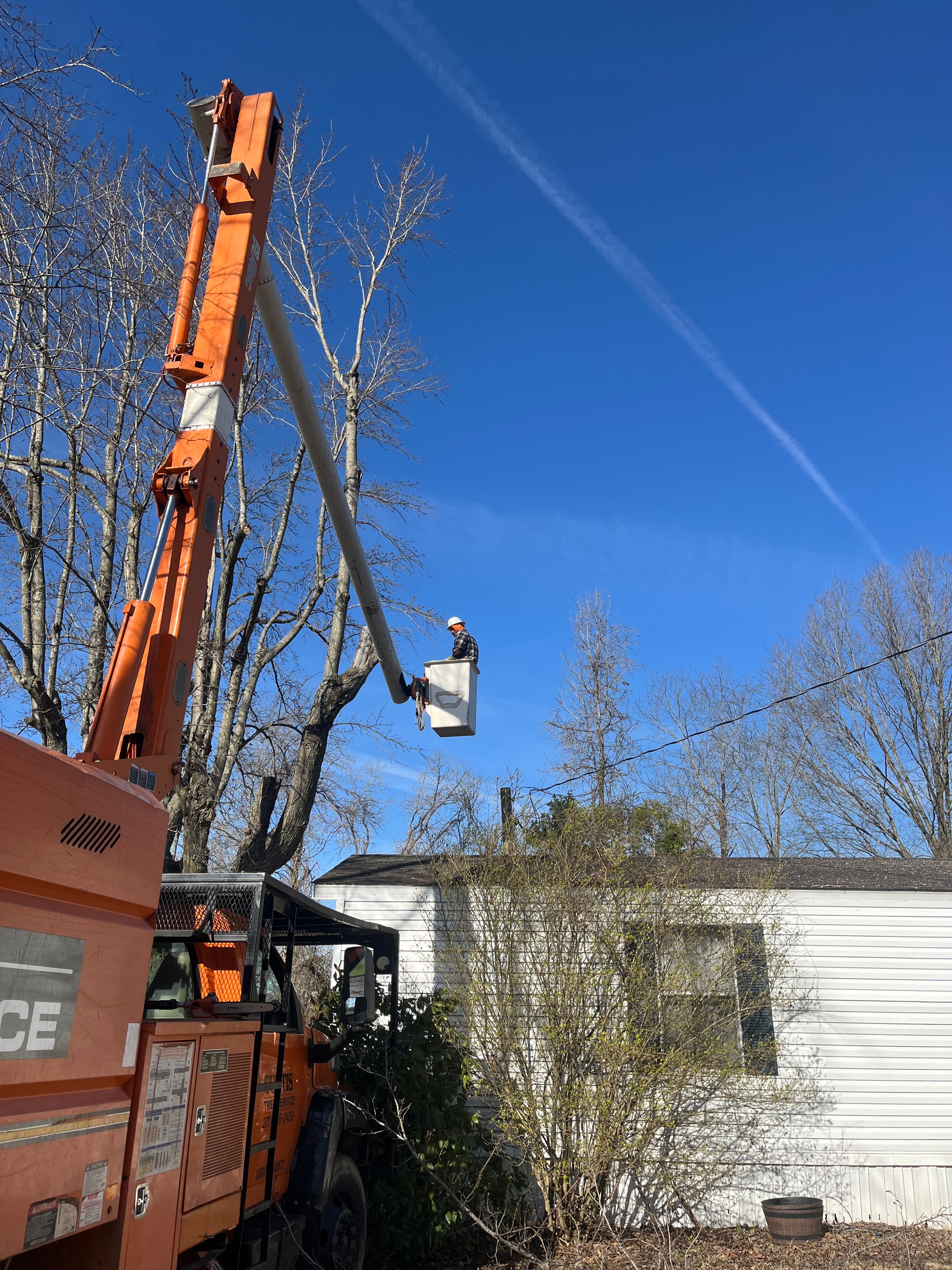  for Curtis Tree Service LLC in Hopkins County, KY