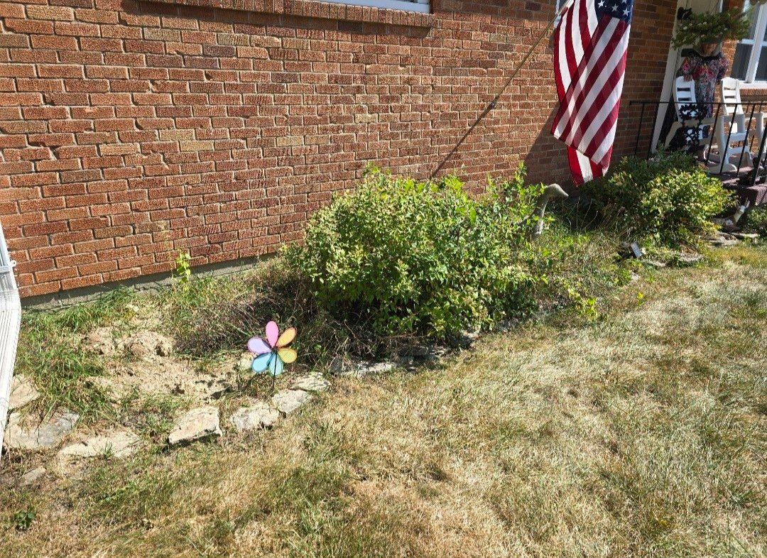 All Photos for Tingley's Green Land Services in Springfield, Ohio