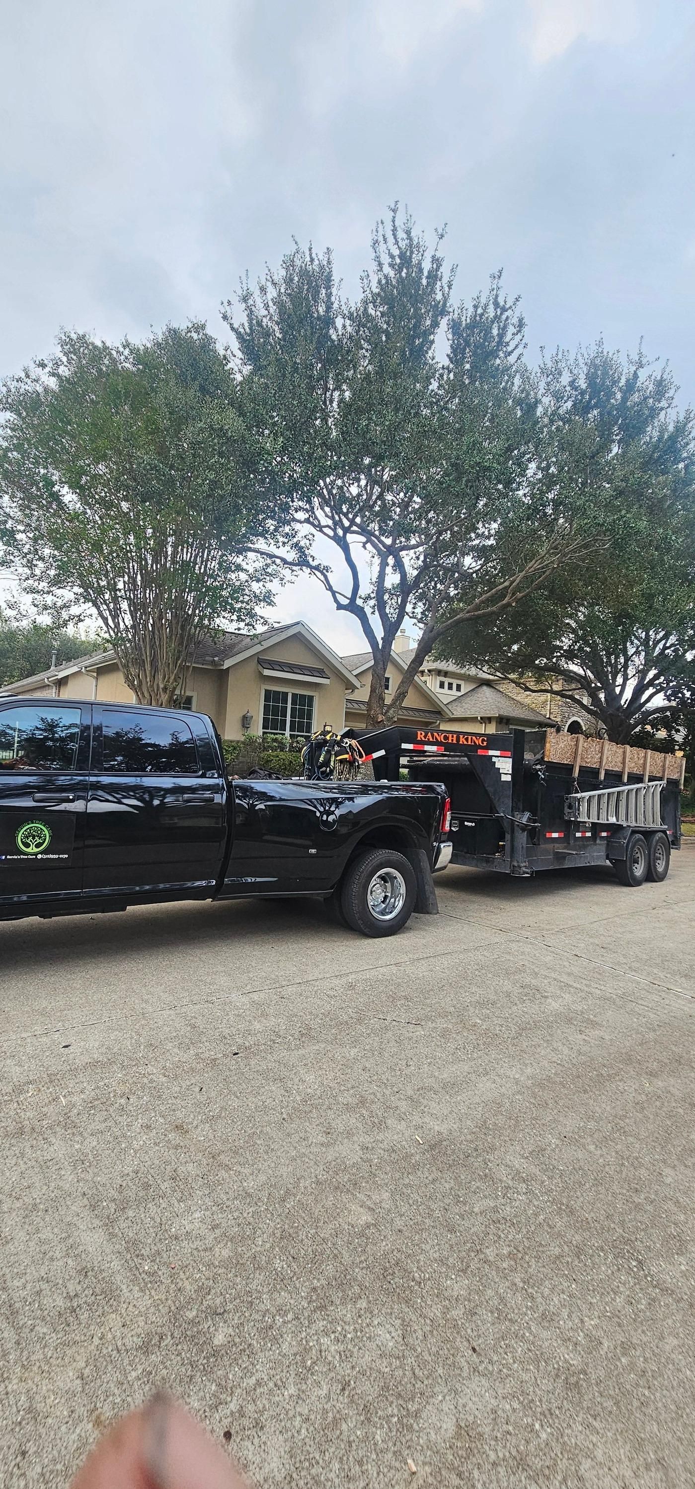  for Servin's Tree Care  in Houston, TX