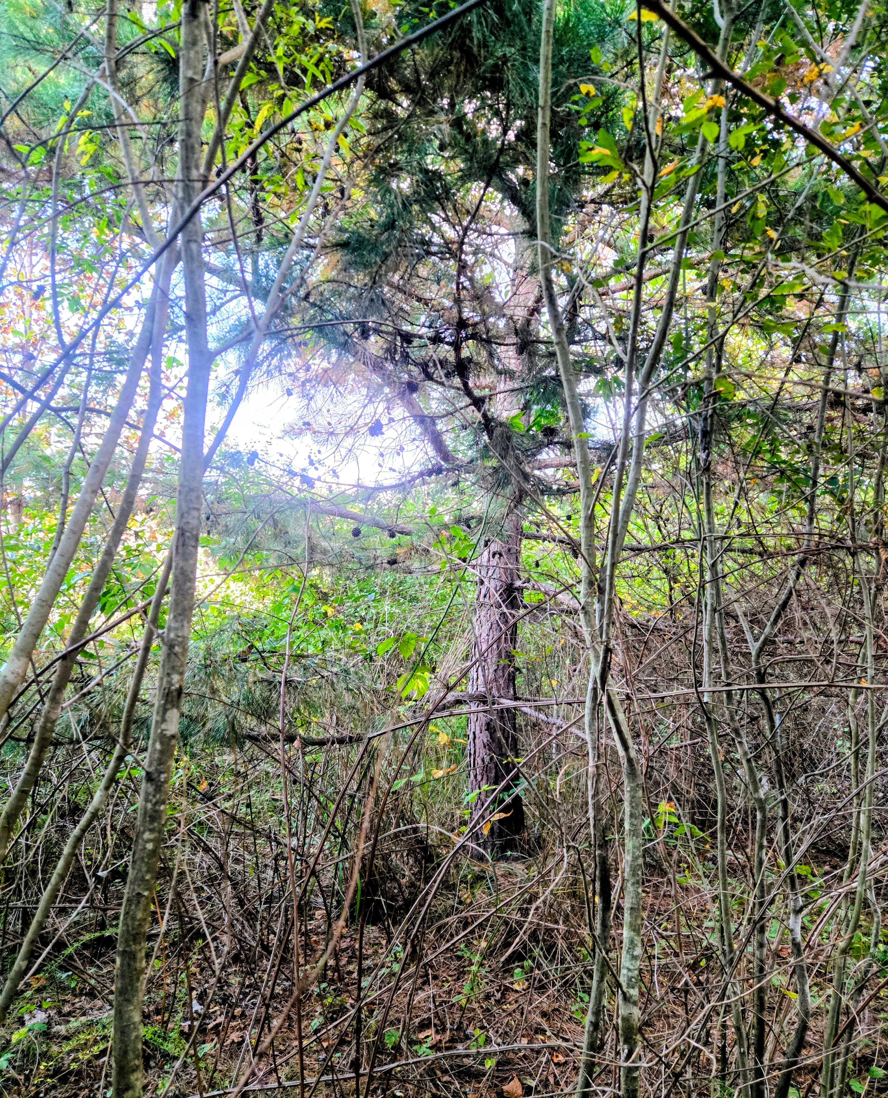  for C4 TrueVision Renovations in Asheville, NC