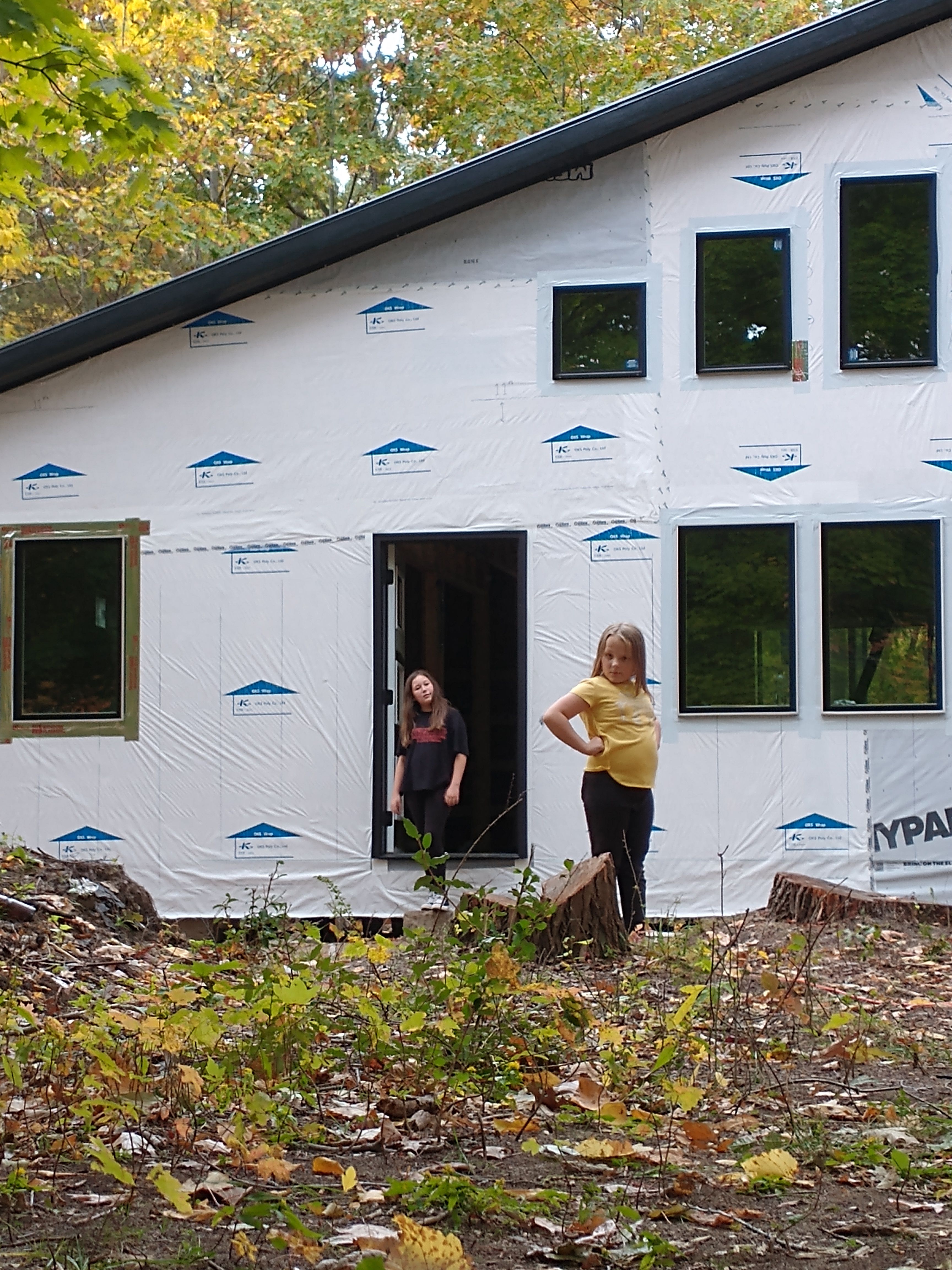 Window Installation for Troy Jones Renovation in Fennville, MI