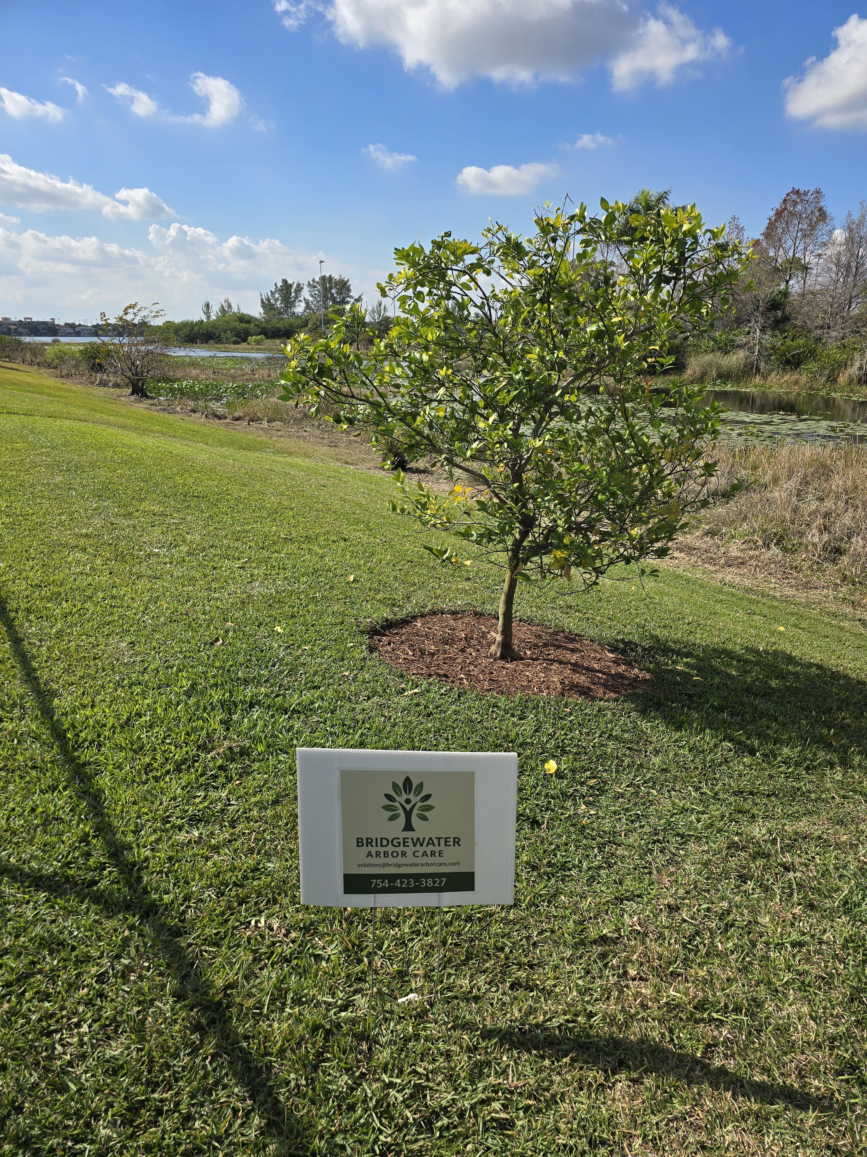  for Bridgewater Arbor Care LLC in Jupiter, FL