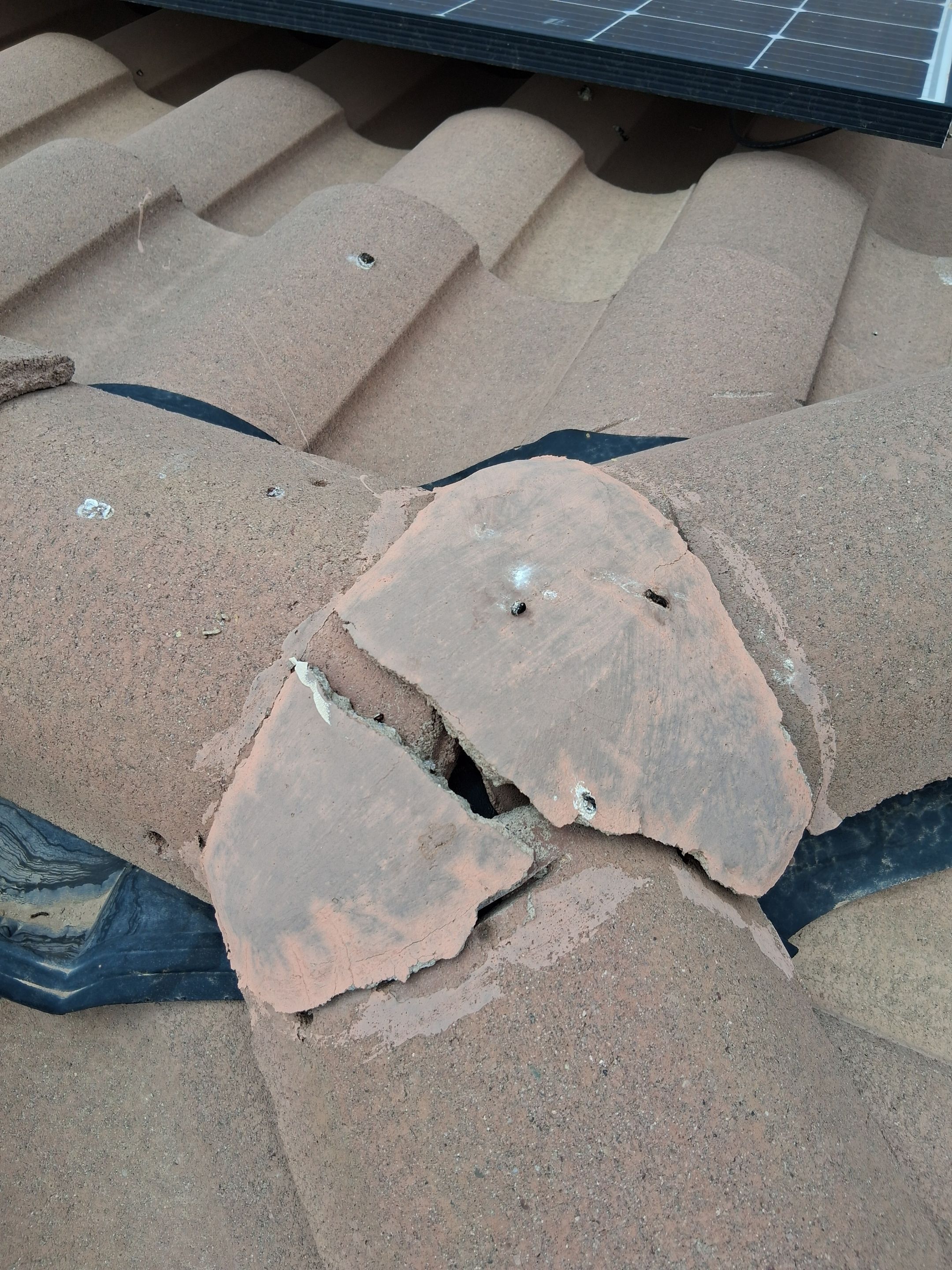  for Olson & Sons Contracting in Mesa, AZ