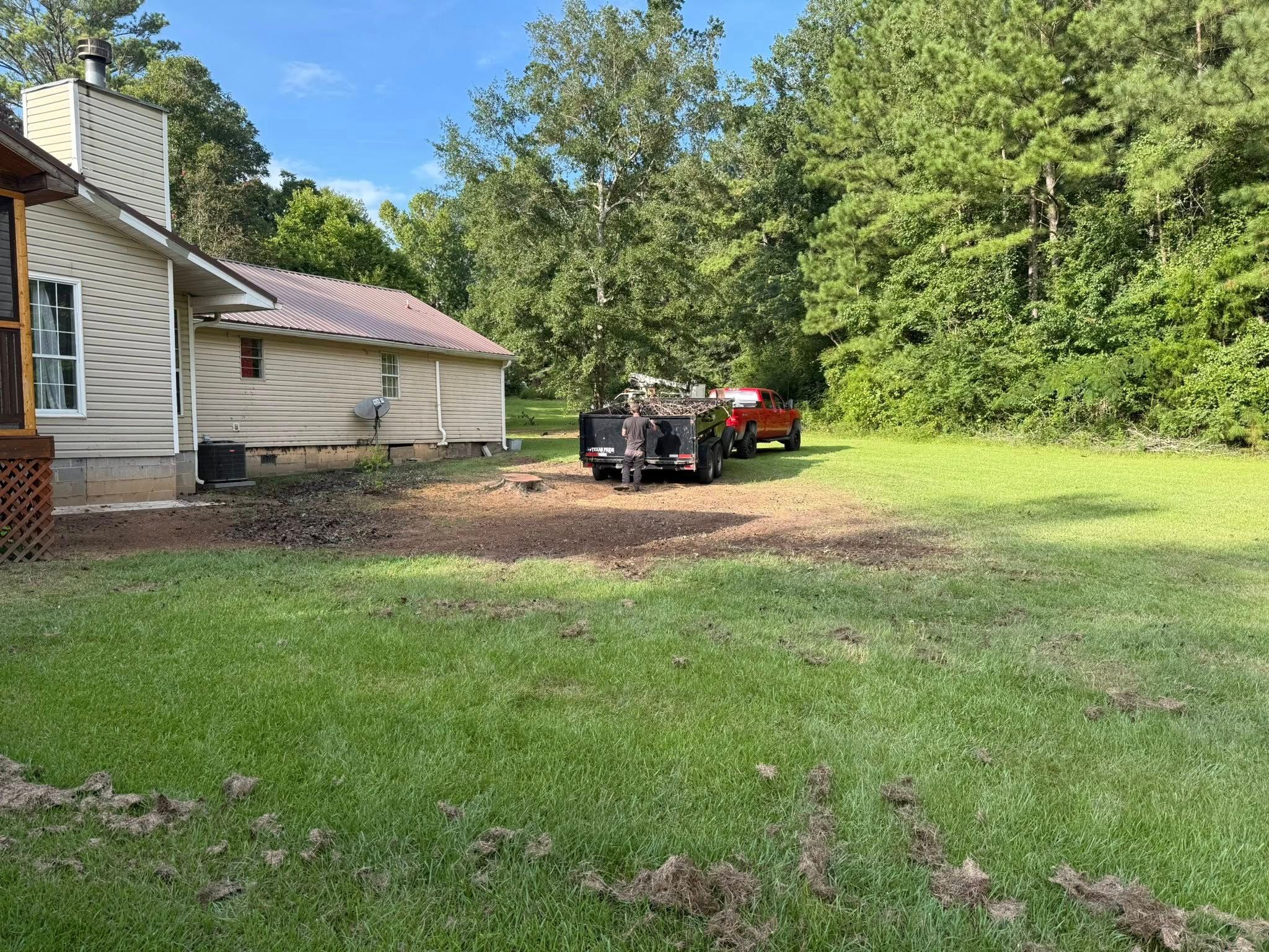  for T N L - Tree and Land Service in Reynolds, GA