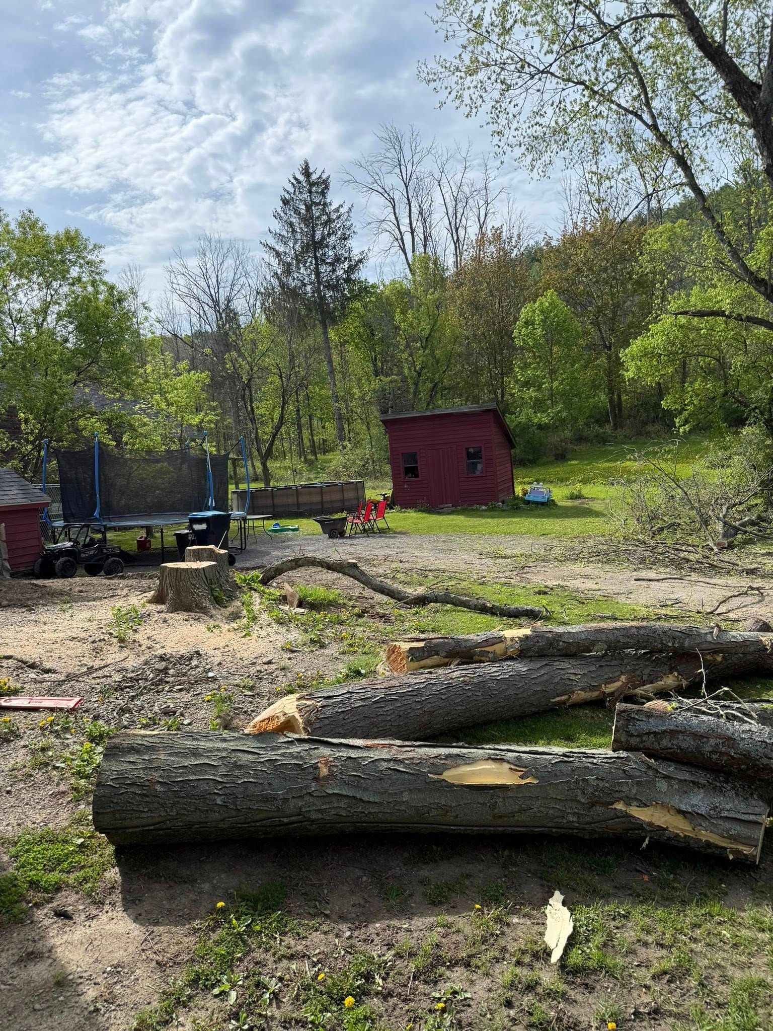 All Photos for Sterlings Tree Removal in Cobleskill, New York