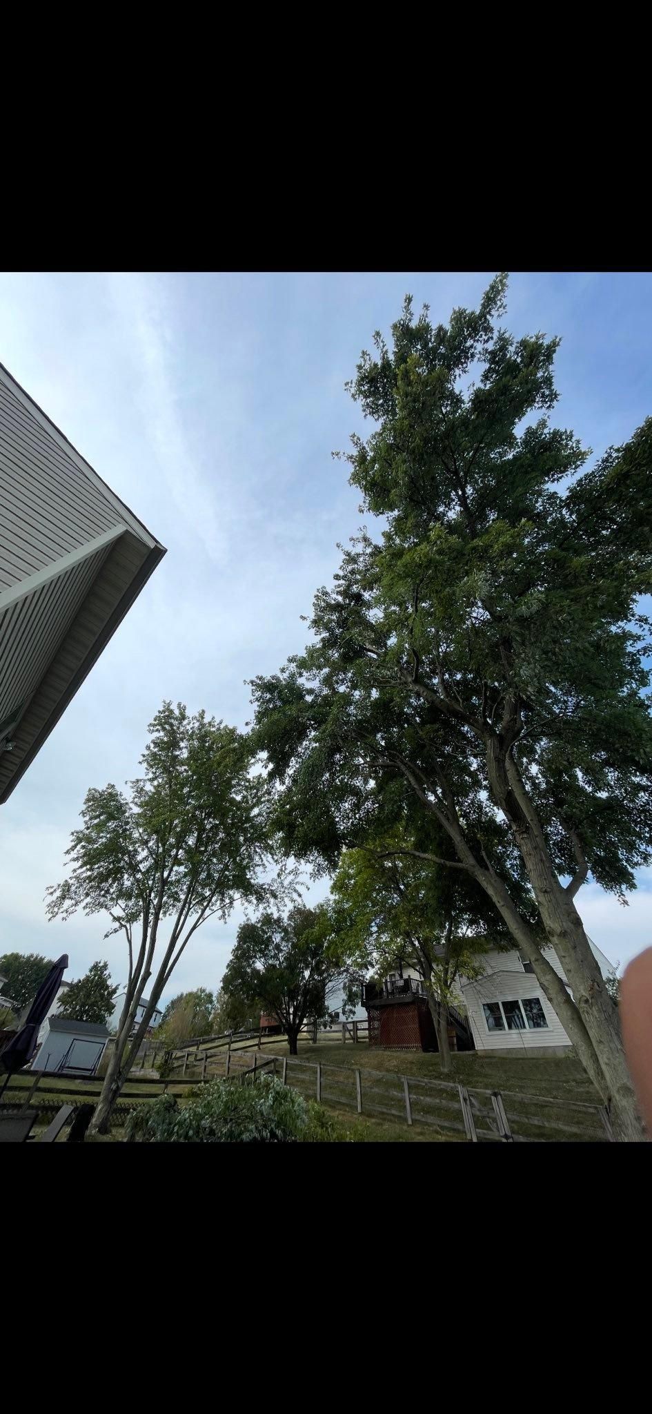  for Dig-It Tree Company in , 