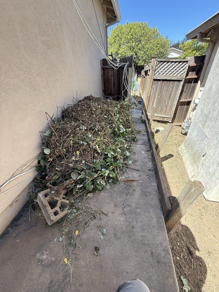 for CBA Landscaping in Hayward, CA