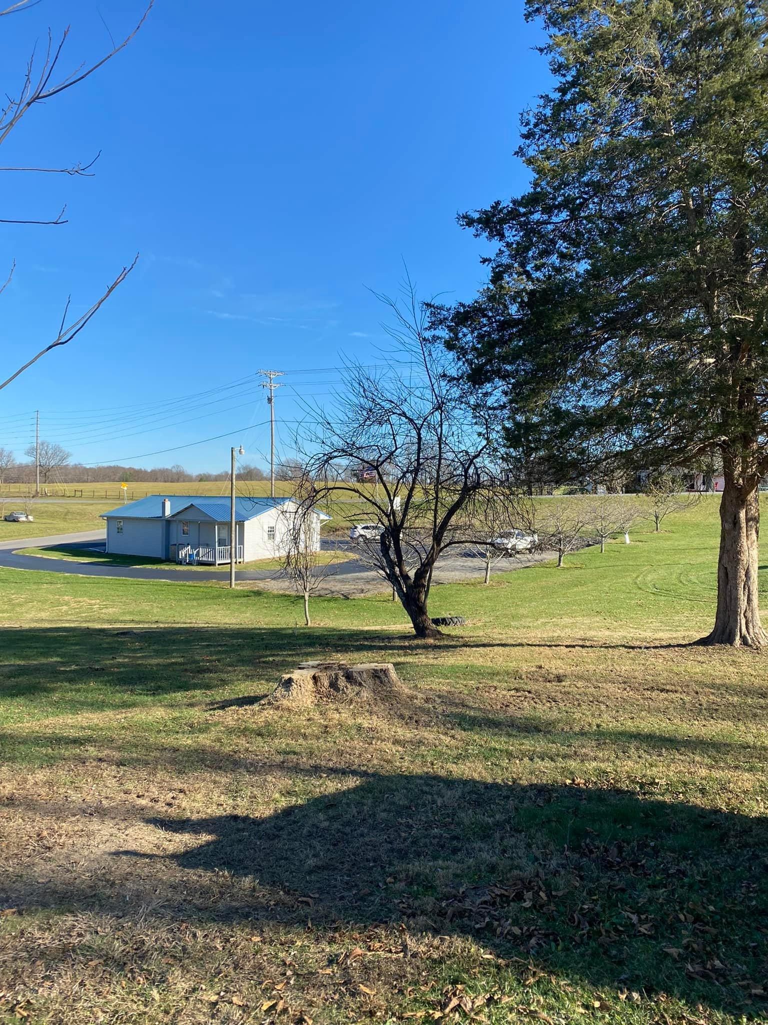 Fall and Spring Clean Up for Atwood’s Tree Care in Liberty,  KY