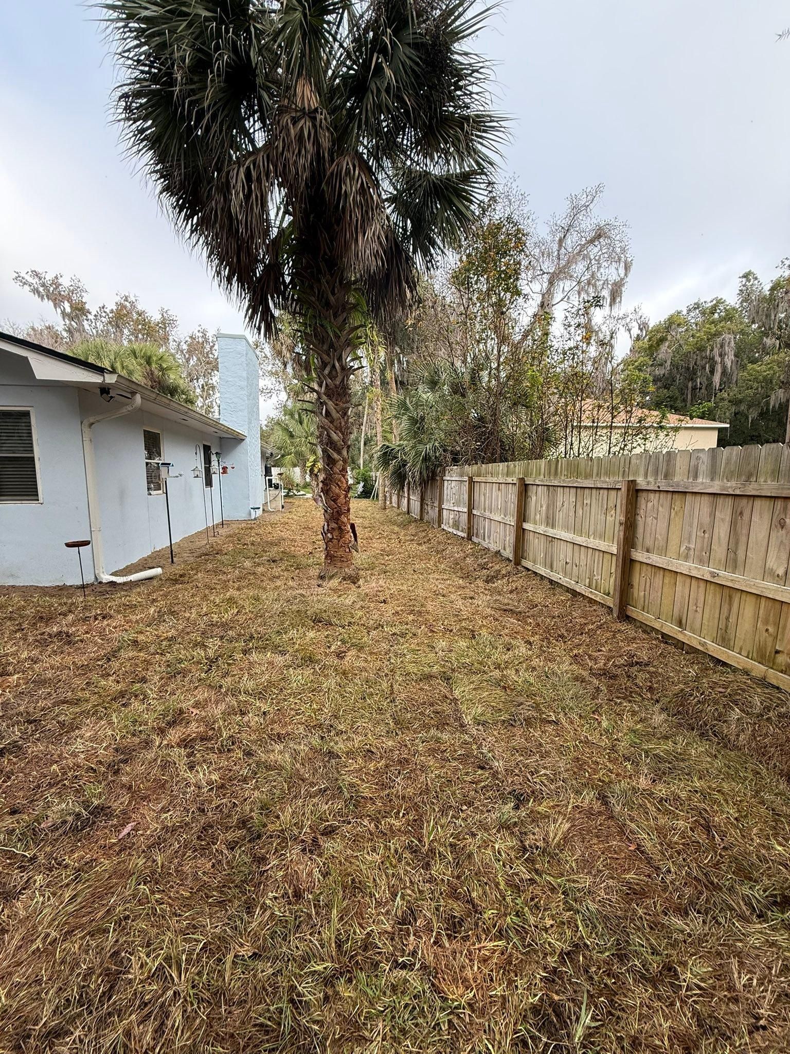  for Cunningham's Lawn & Landscaping LLC in Daytona Beach, Florida