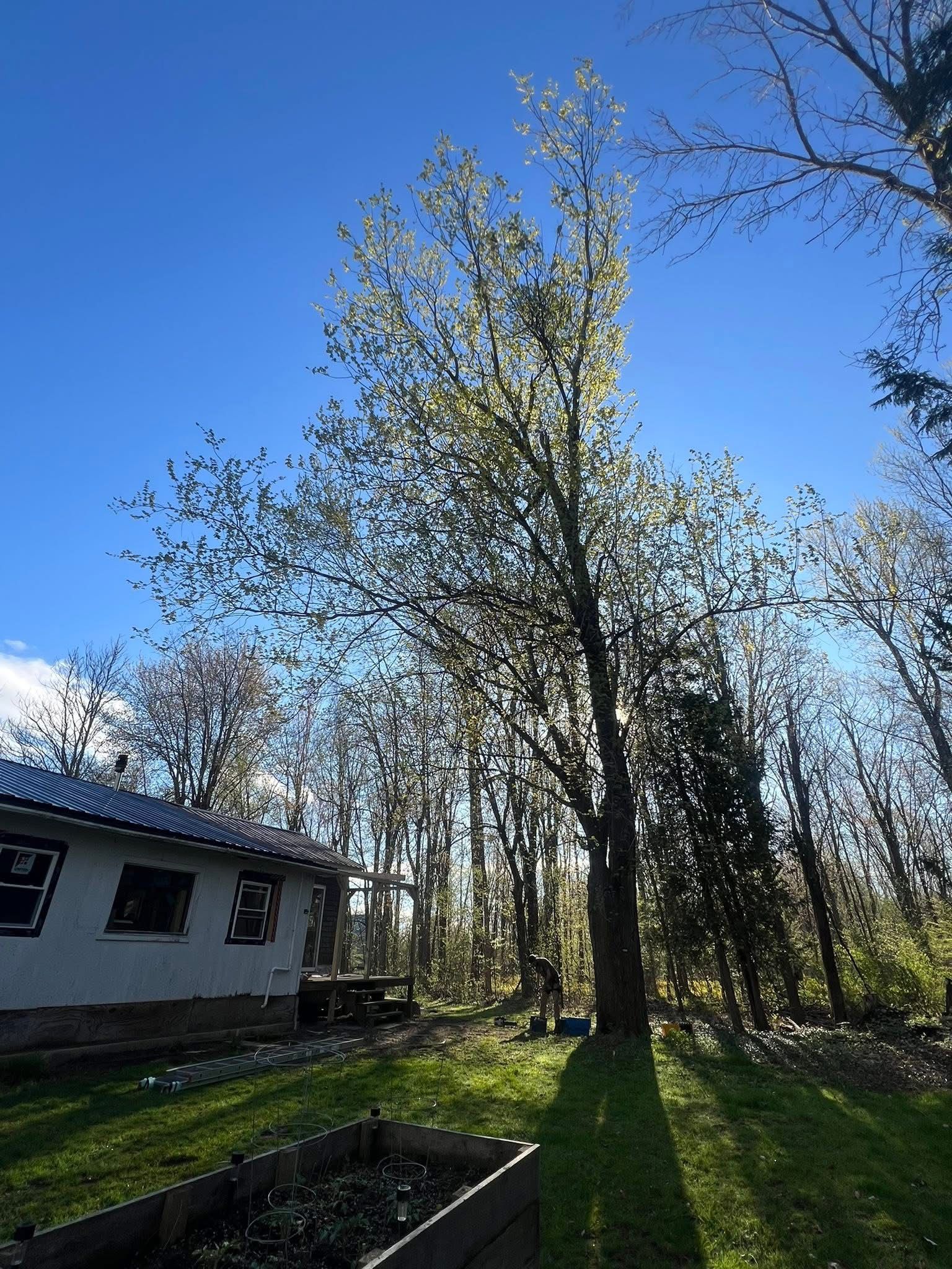 All Photos for Bishop’s Property Maintenance in Franklin, VT