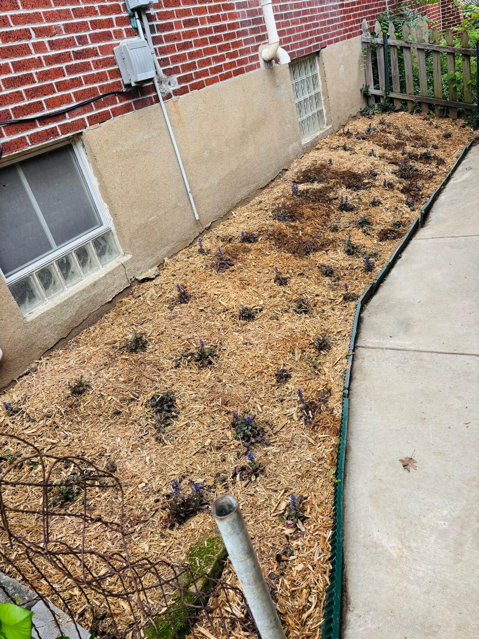  for Jackson Lawn Services LLC in St Louis, MO