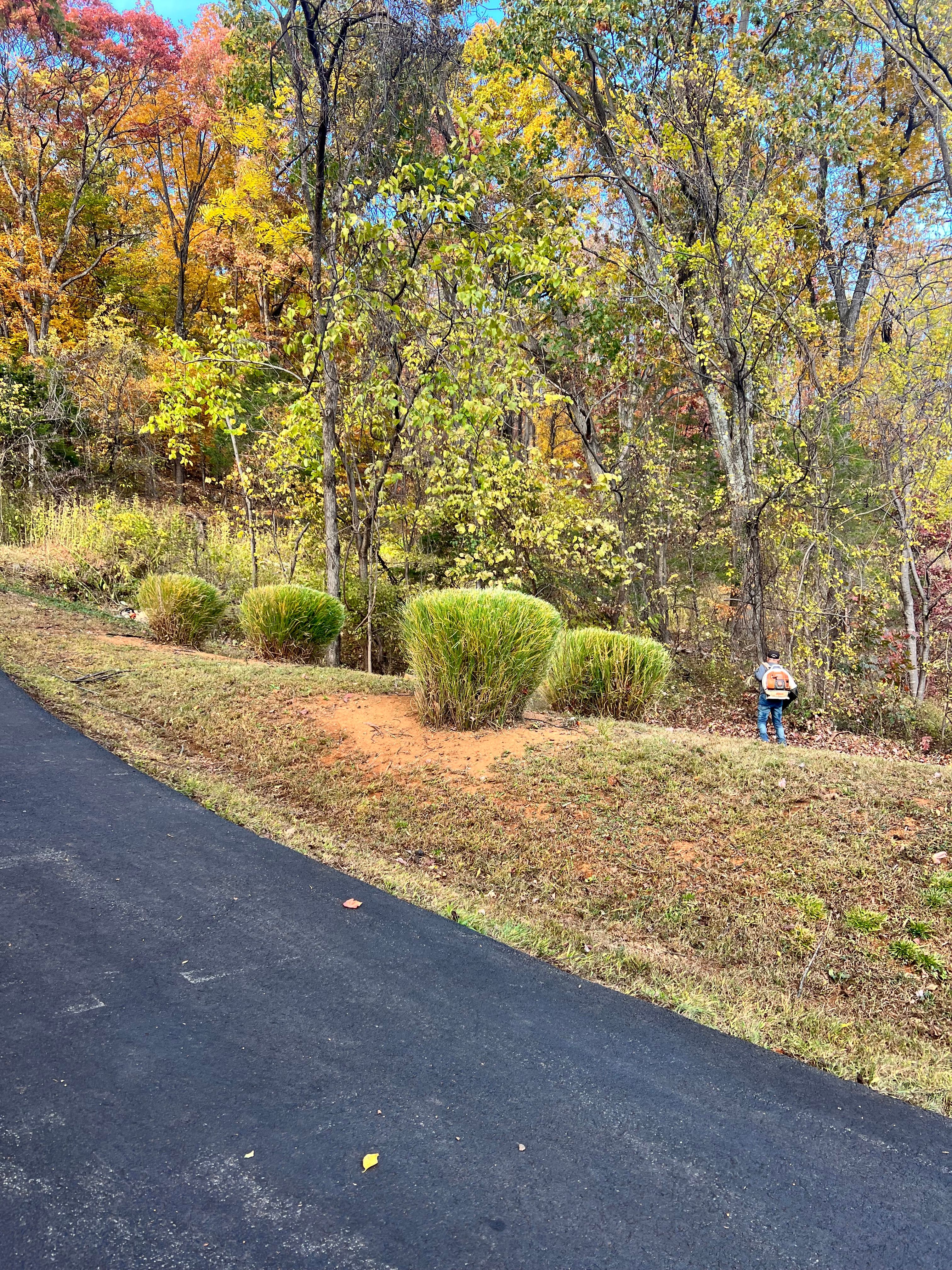  for Valencia’s Lawncare in Charlottesville, VA
