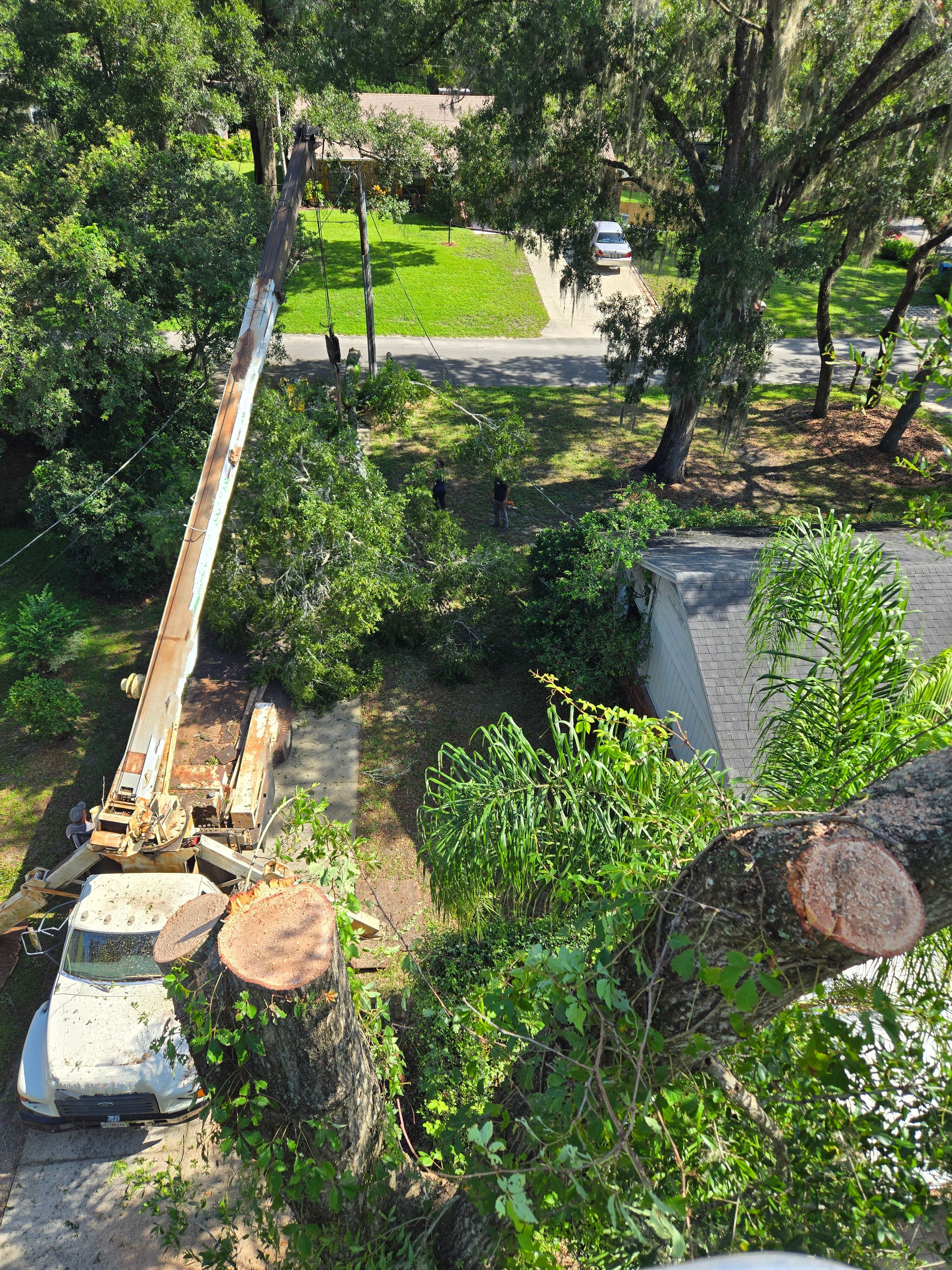All Photos for Near Me Tree Service, Inc. in DeLand, FL