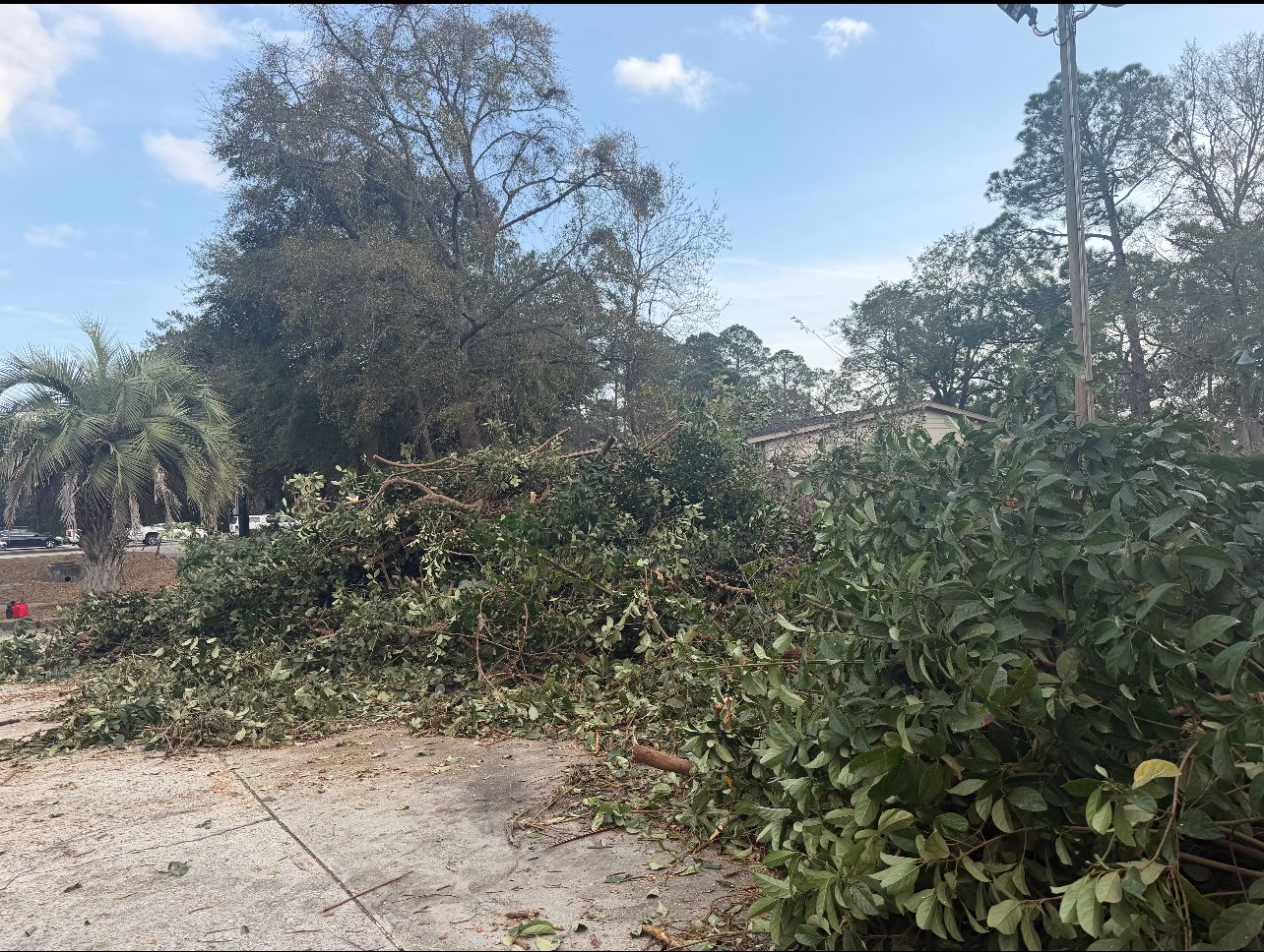  for Brandon Woodard’s Lawncare in Ludowici, GA
