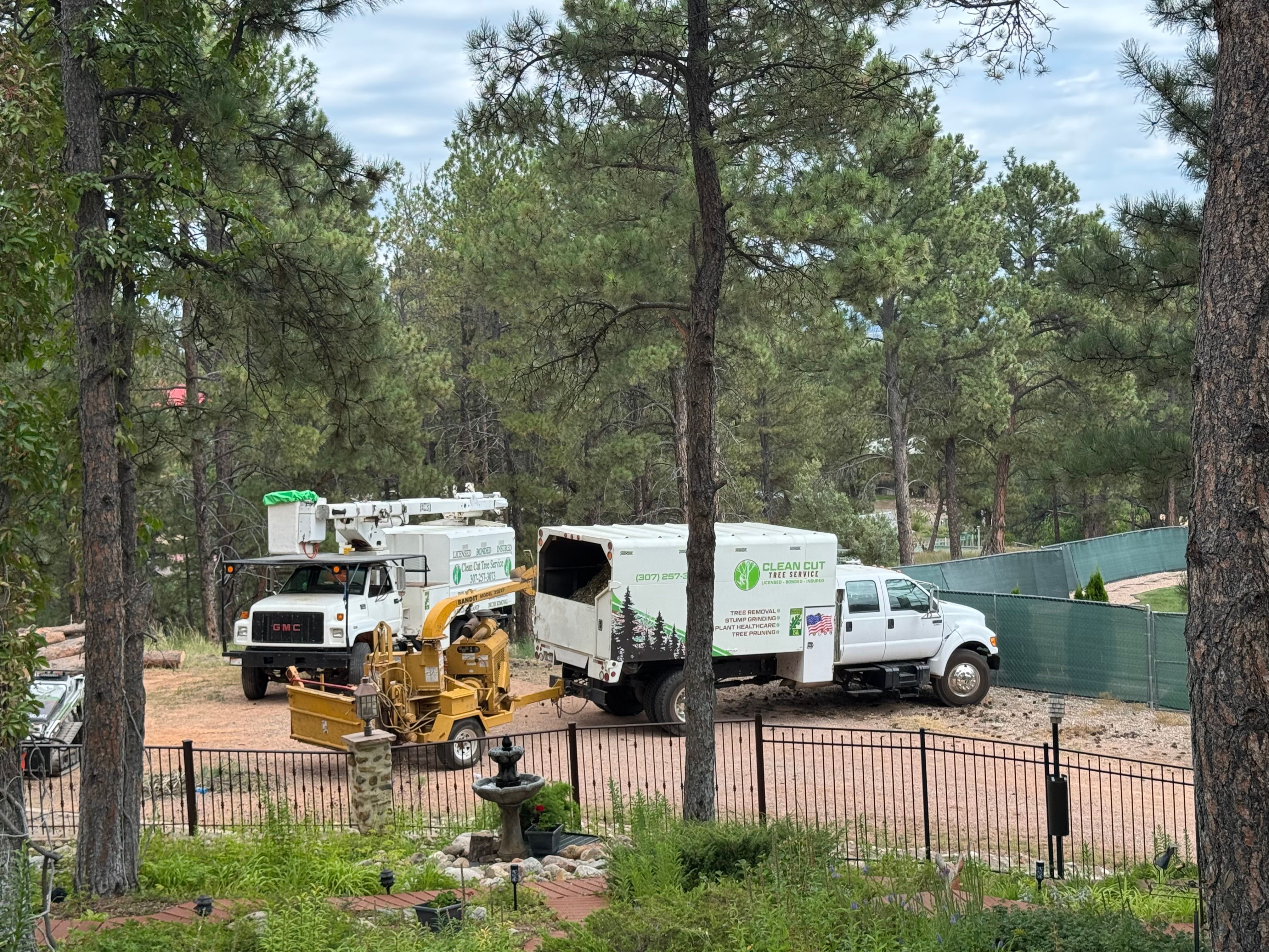  for Clean Cut Tree Service in Gillette, WY
