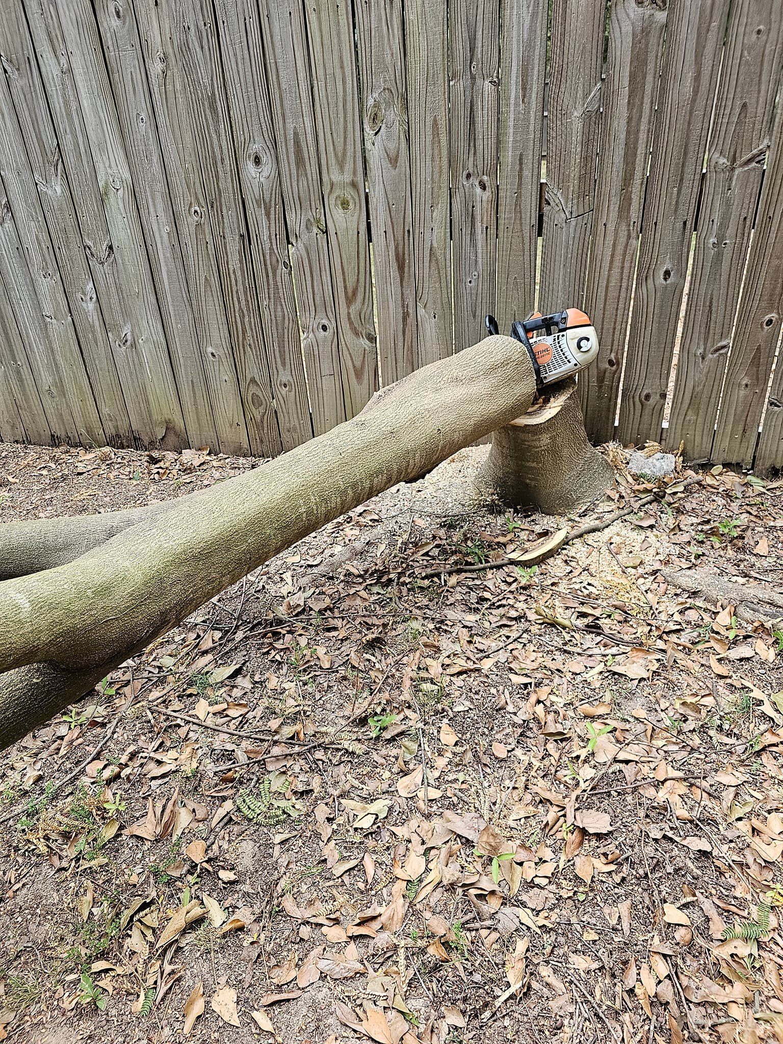  for Millers Tree Service in Saline County, AR