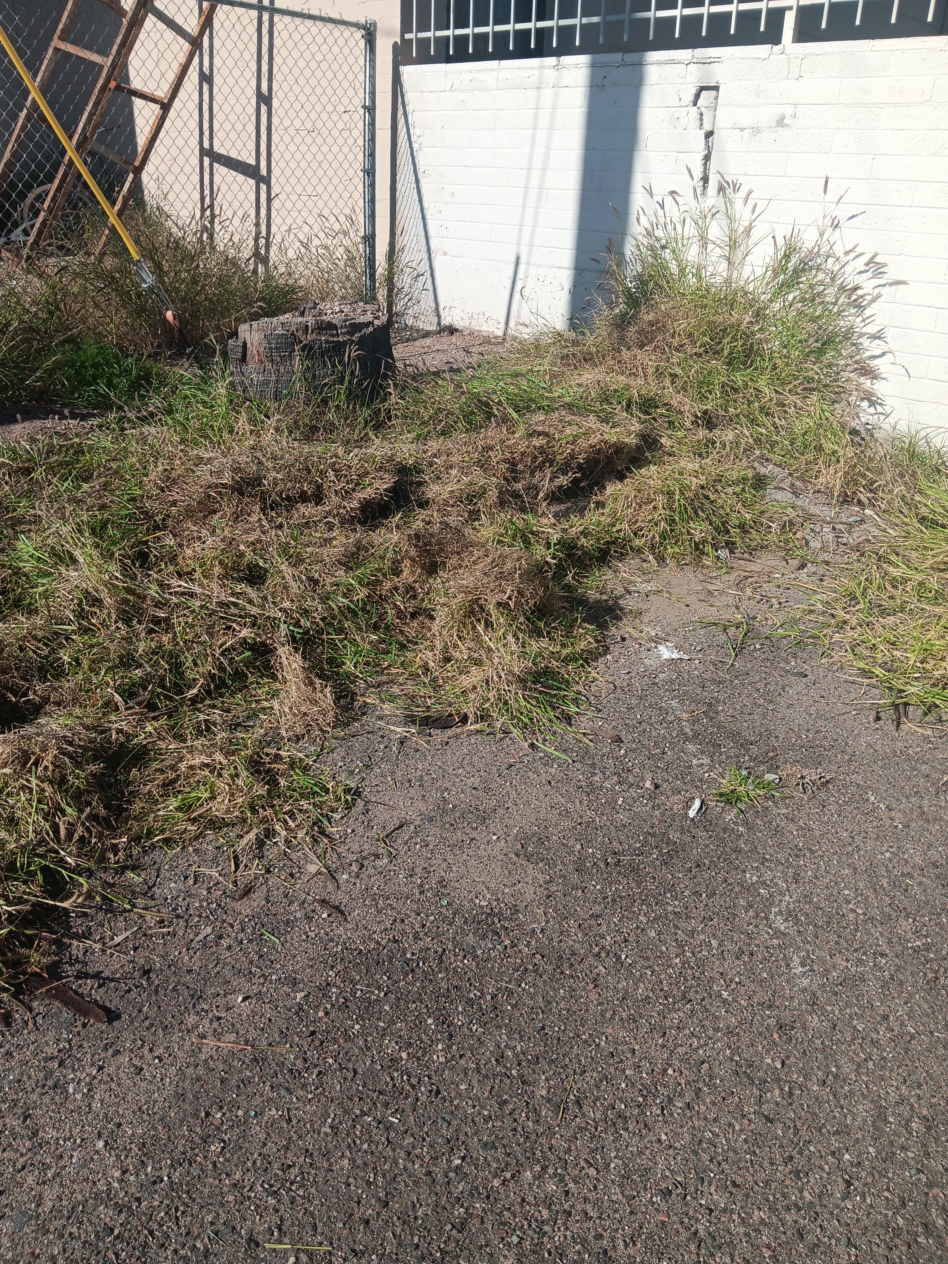  for Family Landscaping in Phoenix, AZ