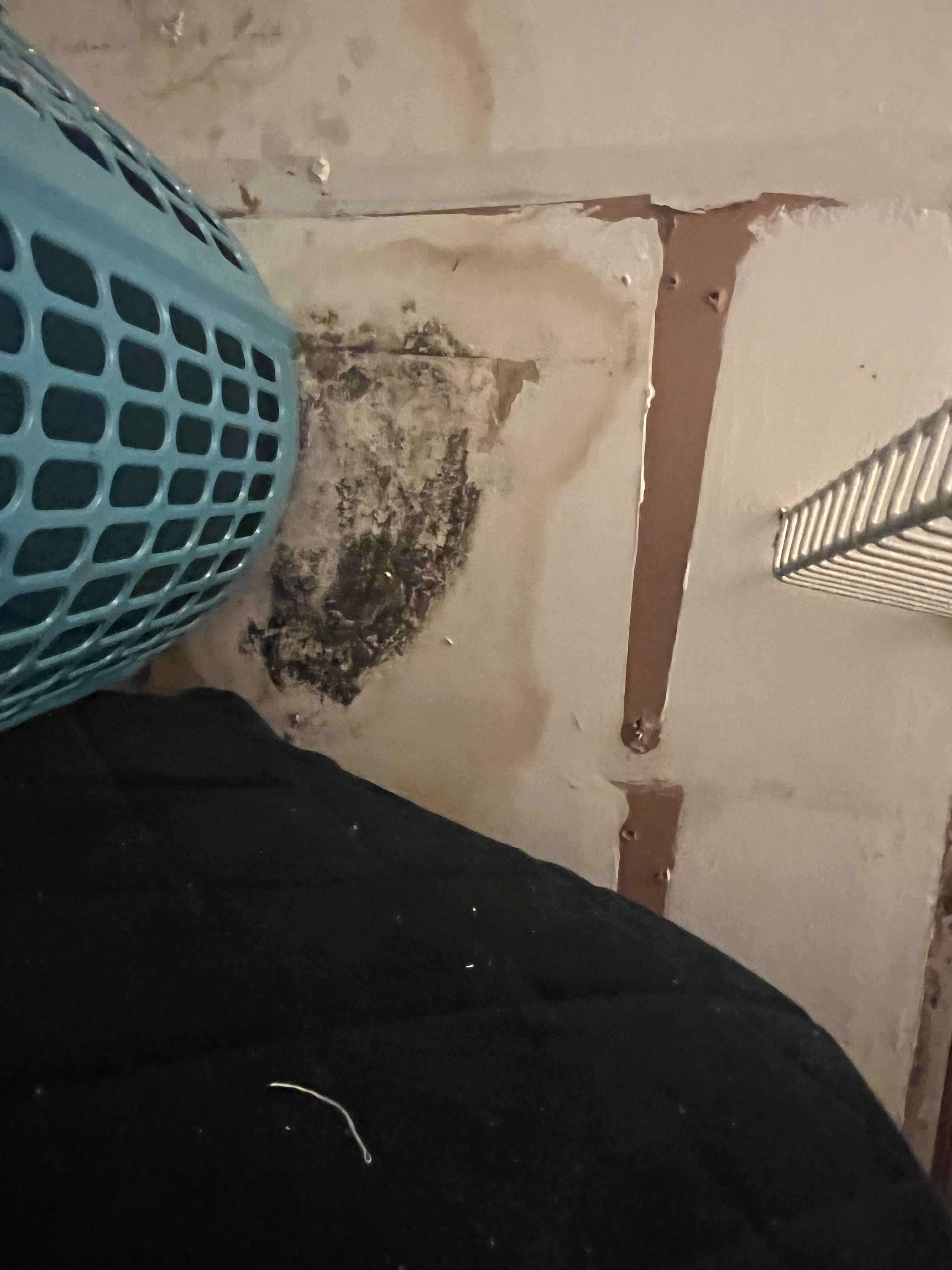  for N&D Restoration Services When Disaster Strikes, We Come In in Cape Coral,  FL