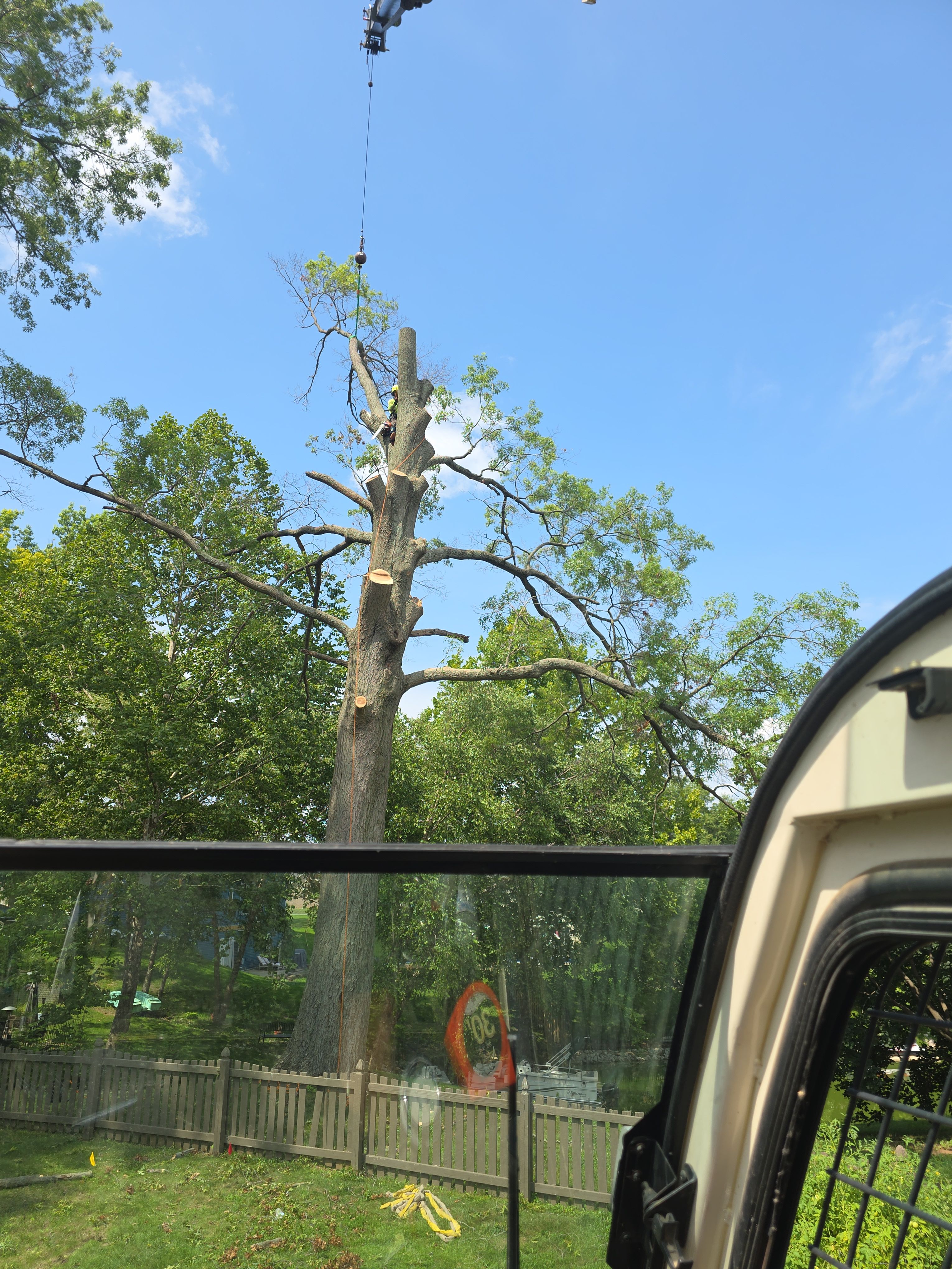  for Advanced Tree Solutions in Rockville, IN