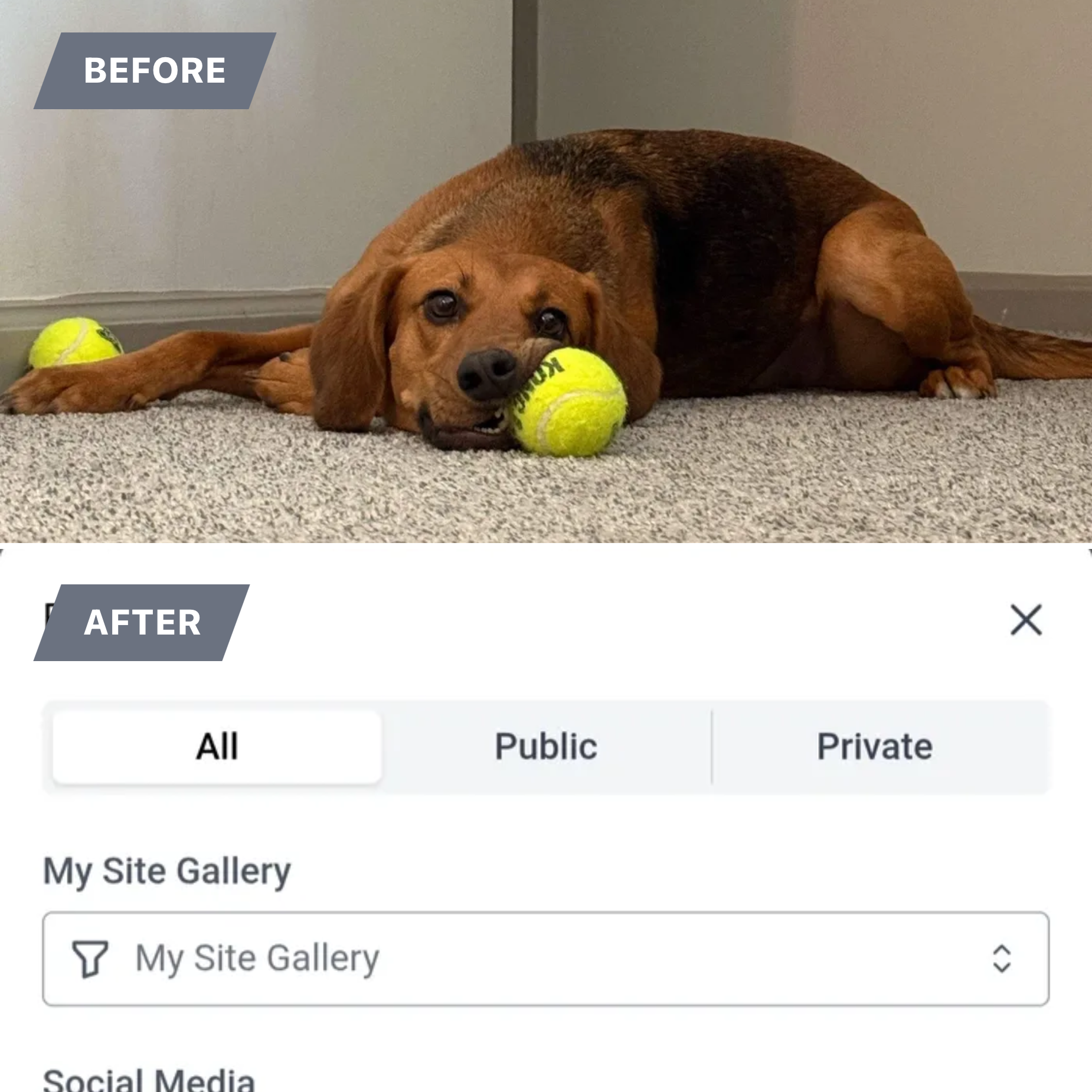  for Gallagher's Plastering in Covington, KY