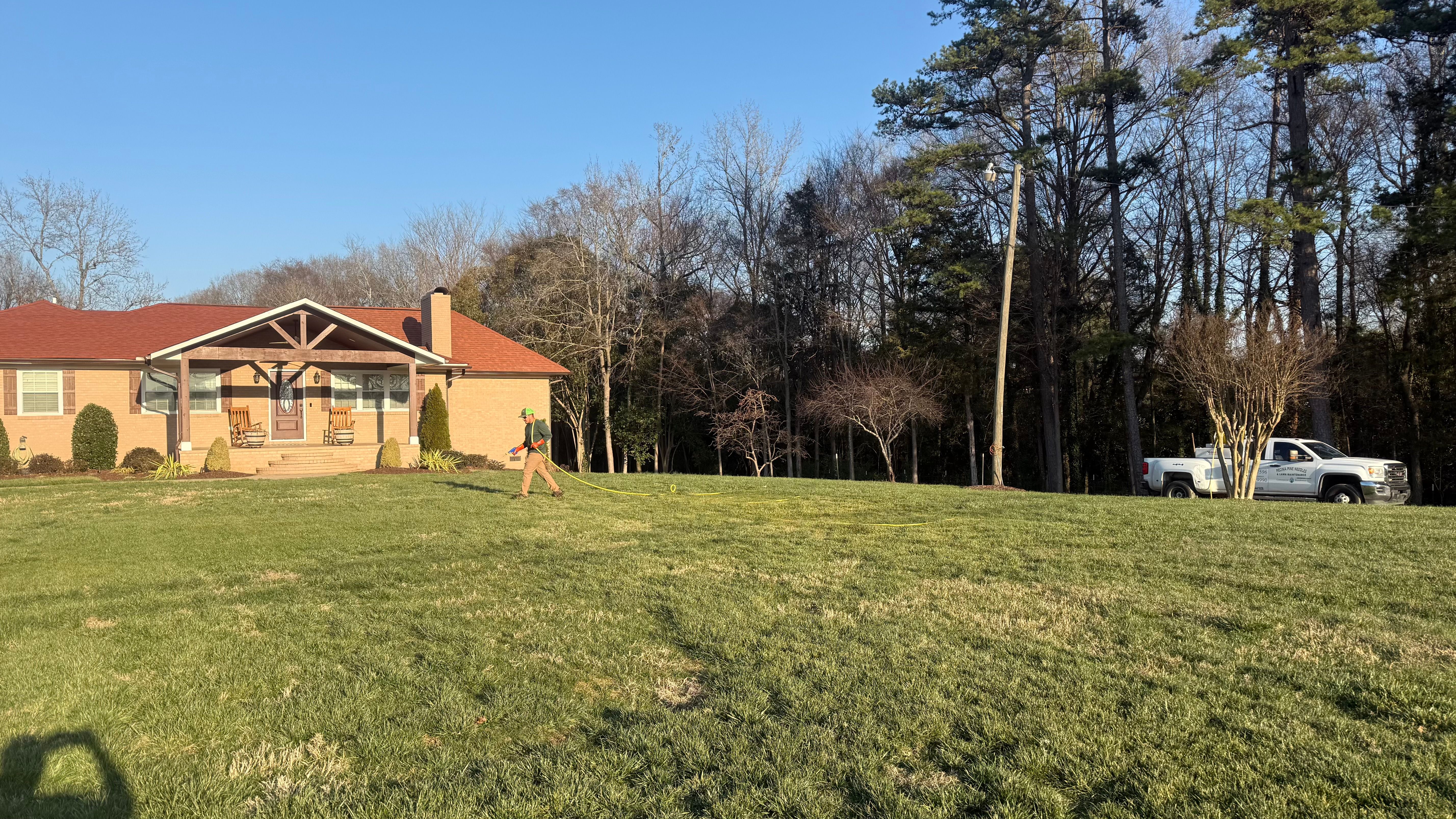  for Pecina Pine Needles in Monroe, NC