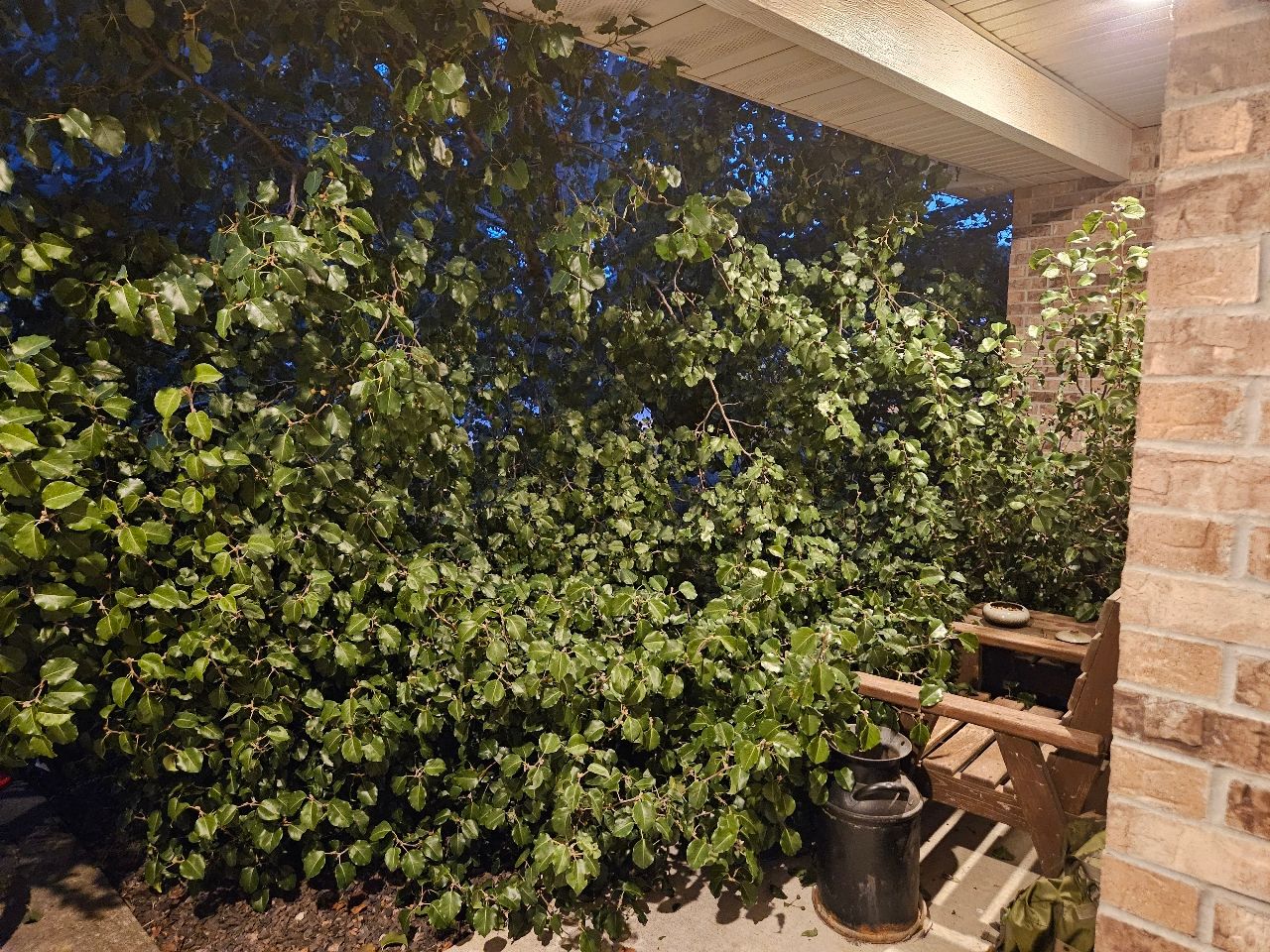  for Sky High Tree Service in Columbia, MO