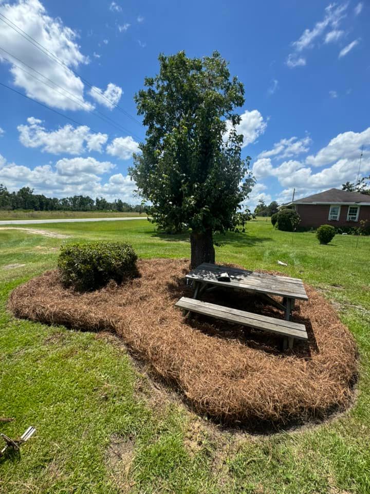  for Sierra Verde Landscaping in Vidalia, GA