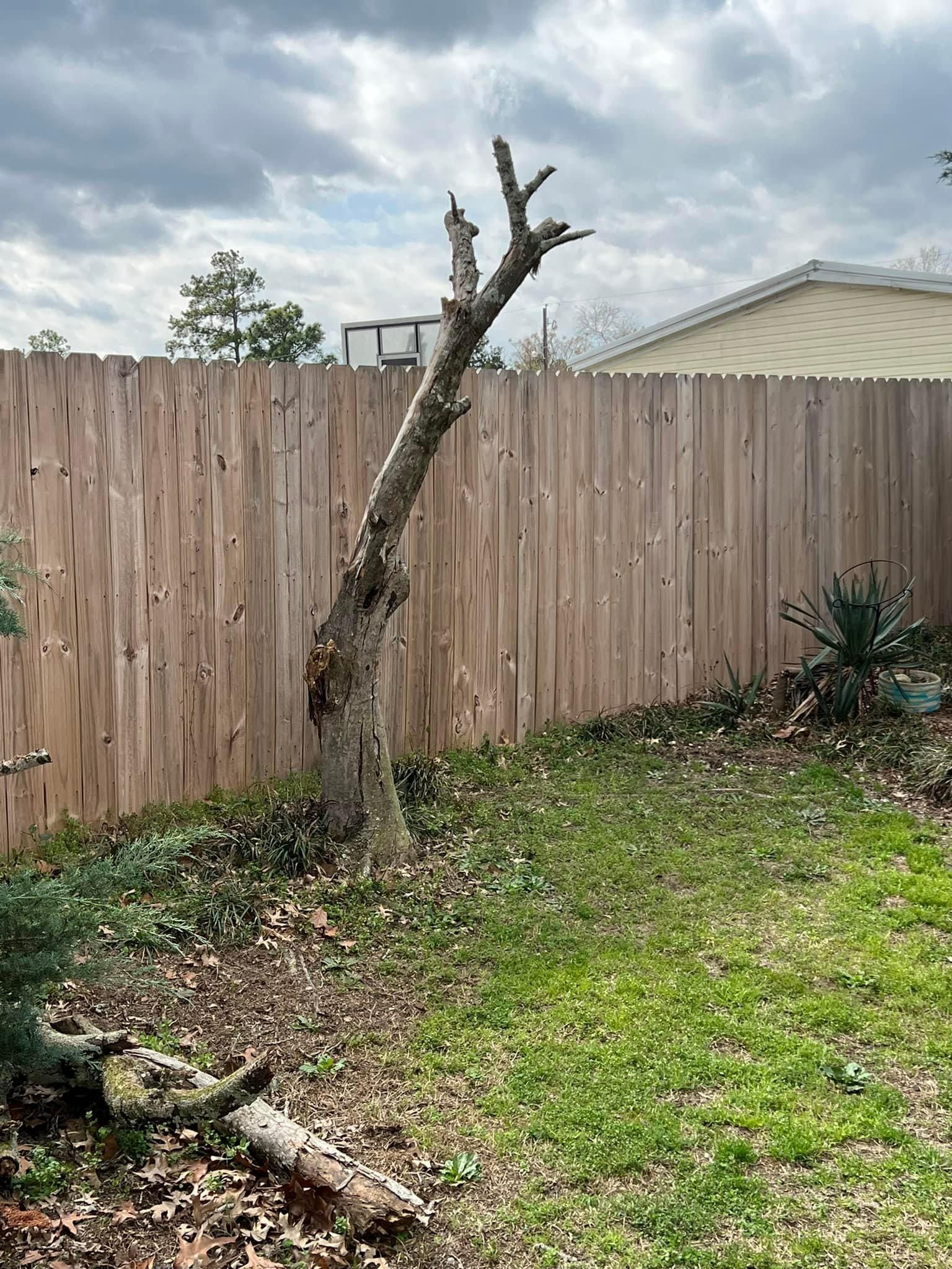  for Shang's Landscaping Service in Columbia, South Carolina