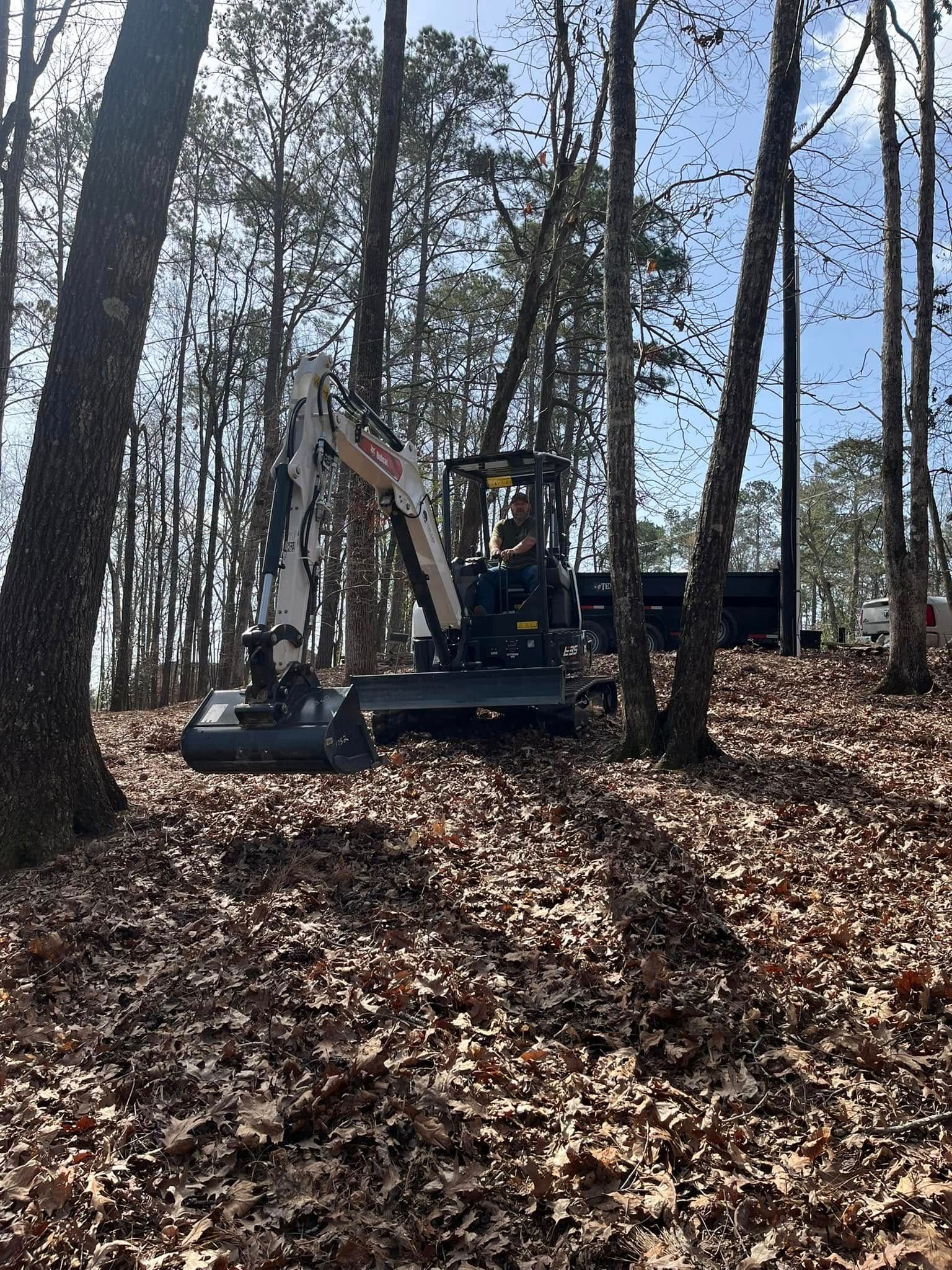  for T N L - Tree and Land Service in Reynolds, GA