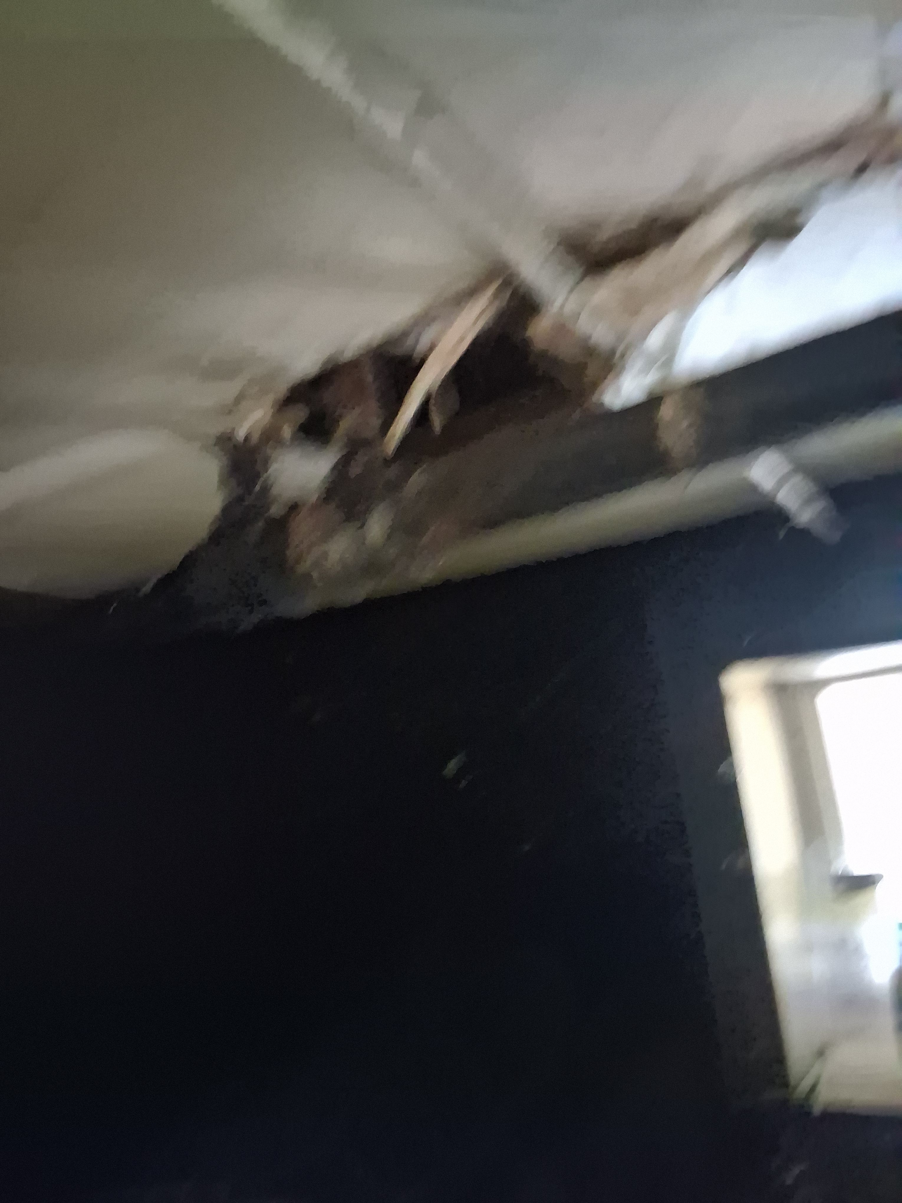  for K. Billey Construction in Brooklyn, NY