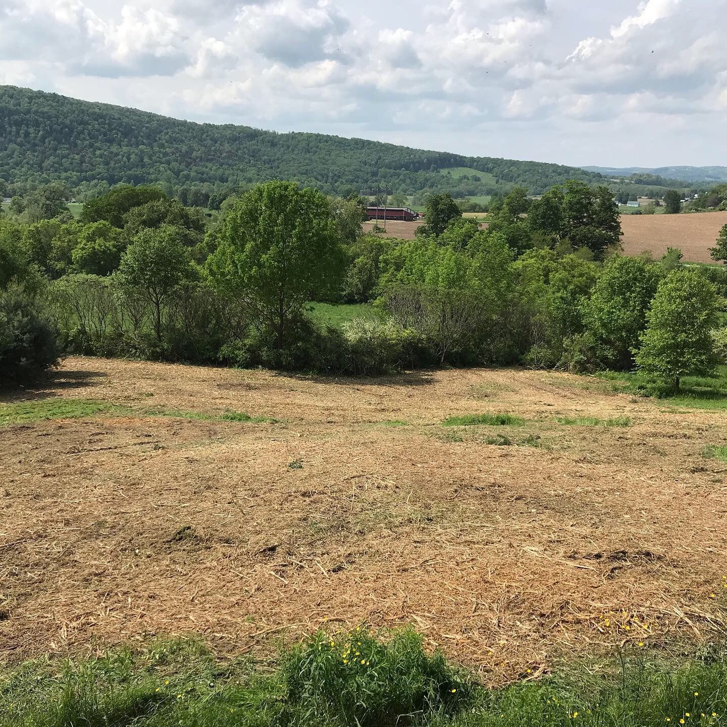 Excavating for Old South Grading in Glade Valley, NC