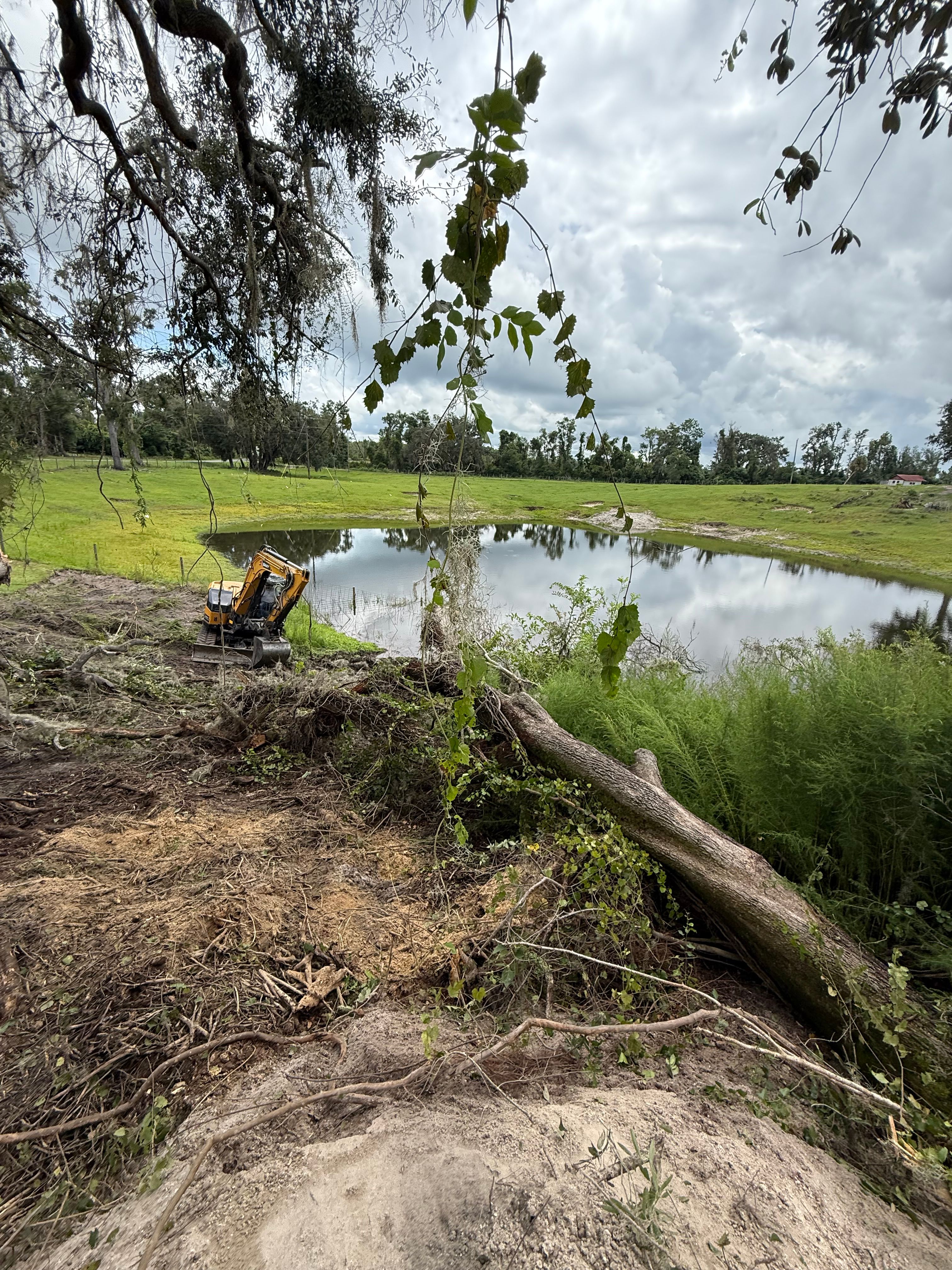  for Warners Tree Solutions in Live Oak, FL