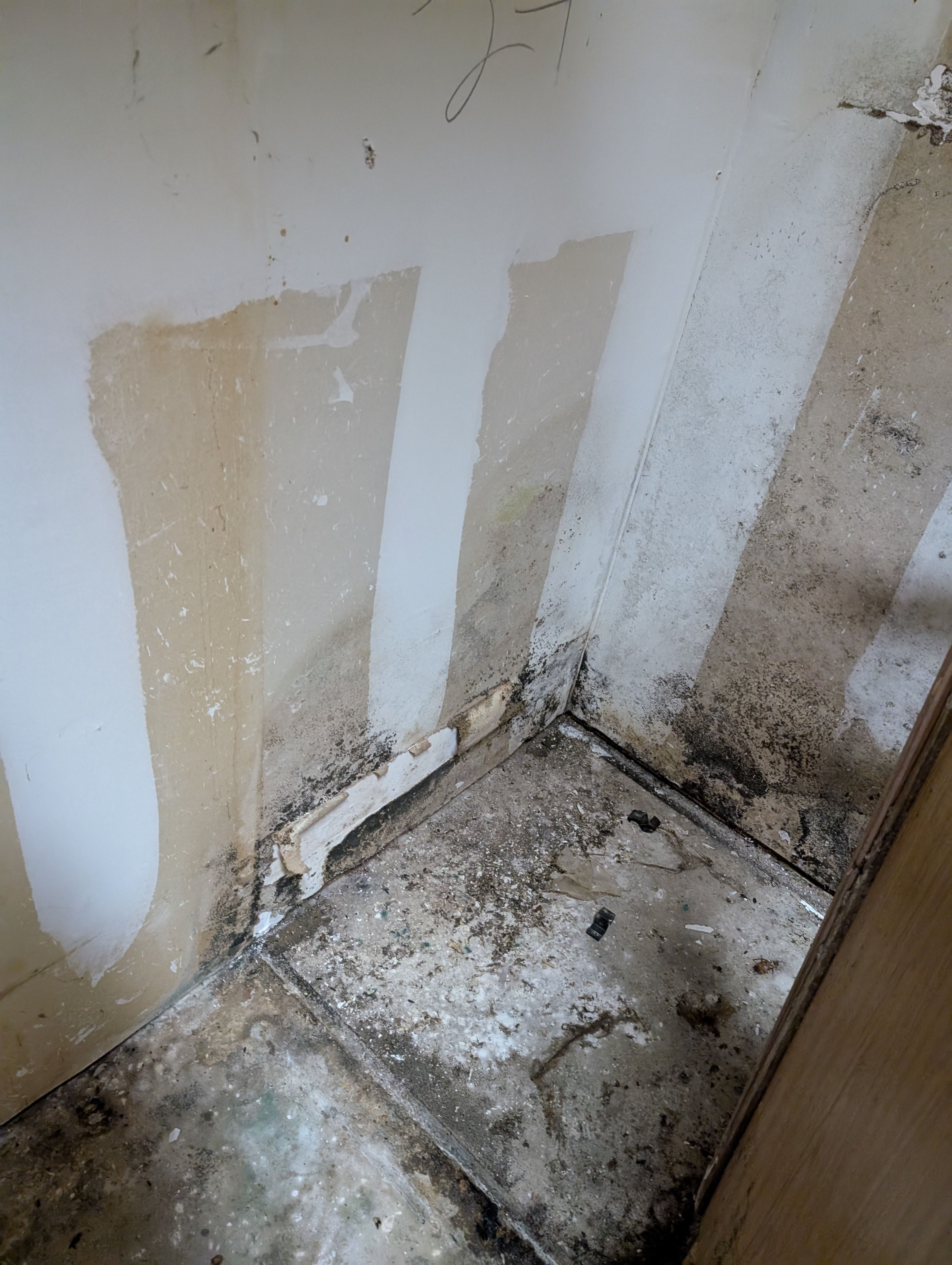 All Photos for Best Option Restoration of Denton in Denton, TX