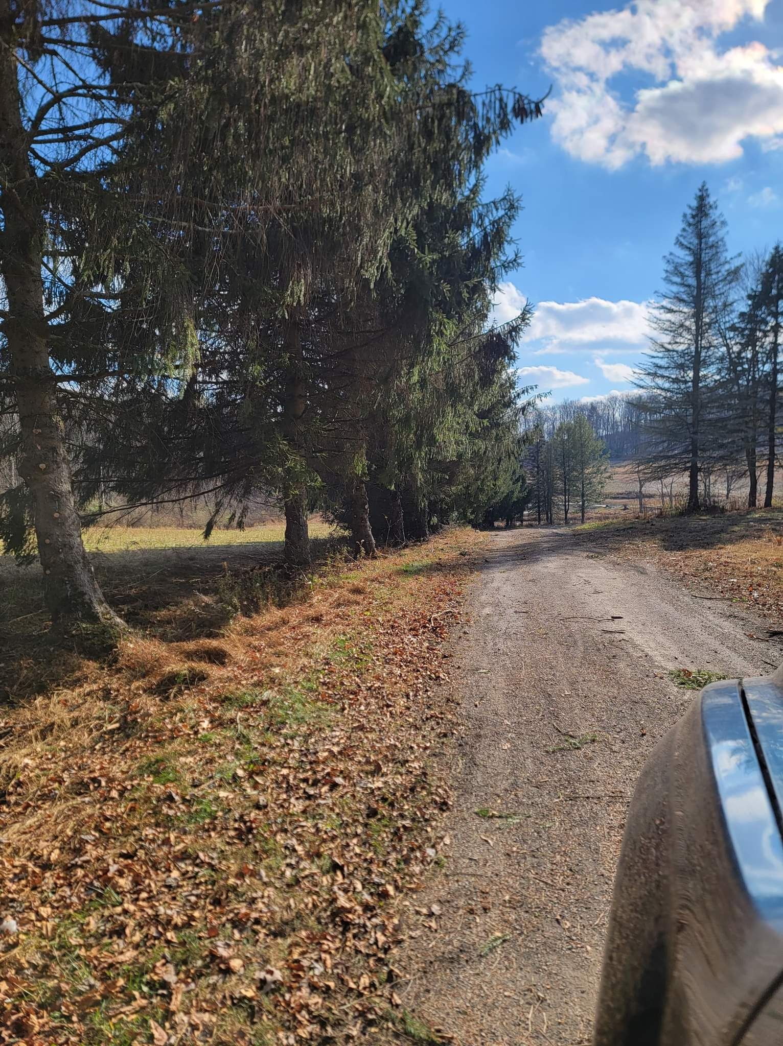  for Down Home Landscaping in Stillwater, PA