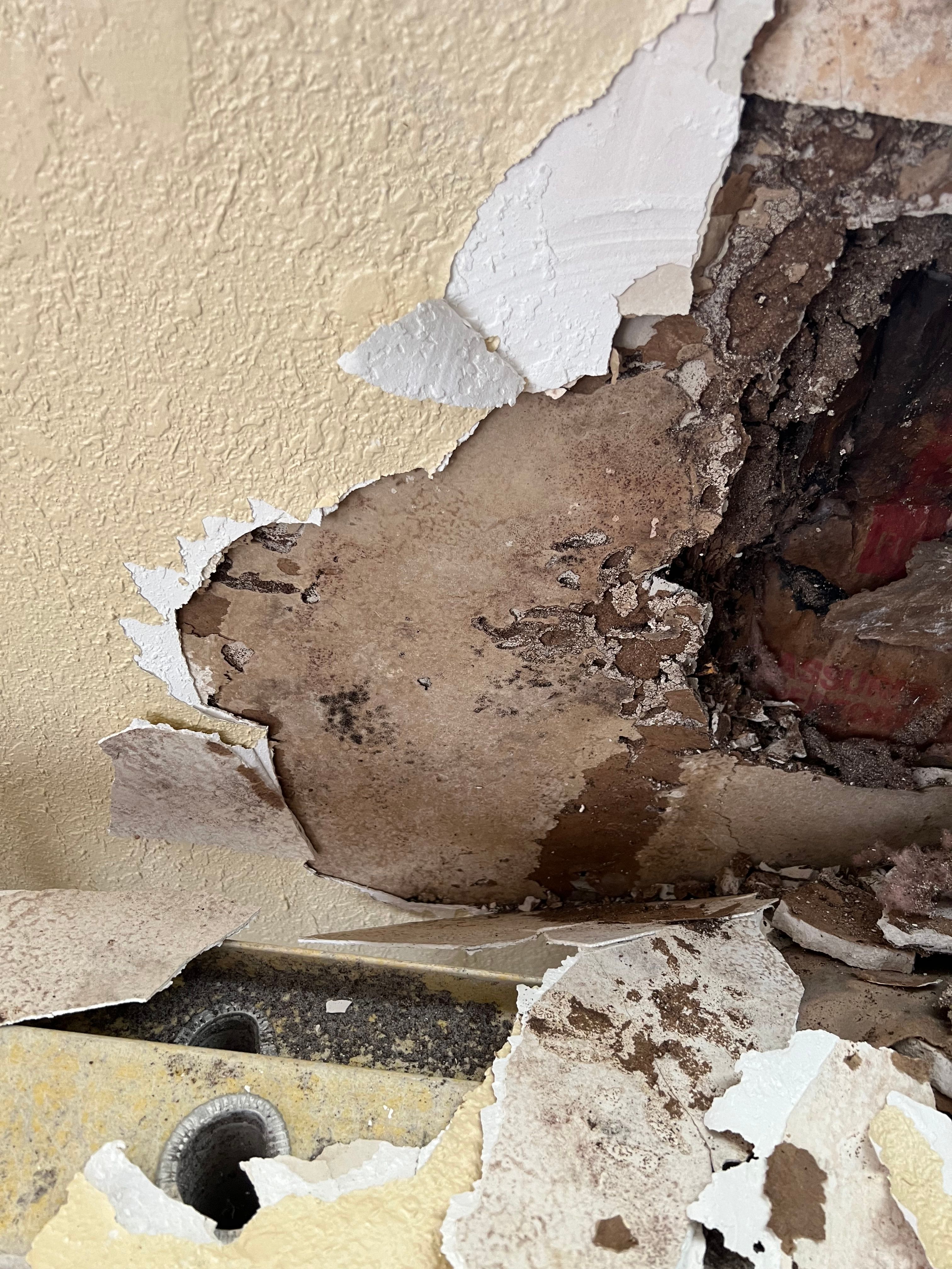  for N&D Restoration Services When Disaster Strikes, We Come In in Cape Coral,  FL