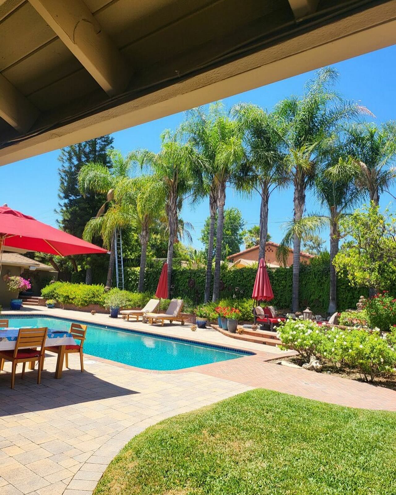 for Maya Tree Service in La Puente, CA