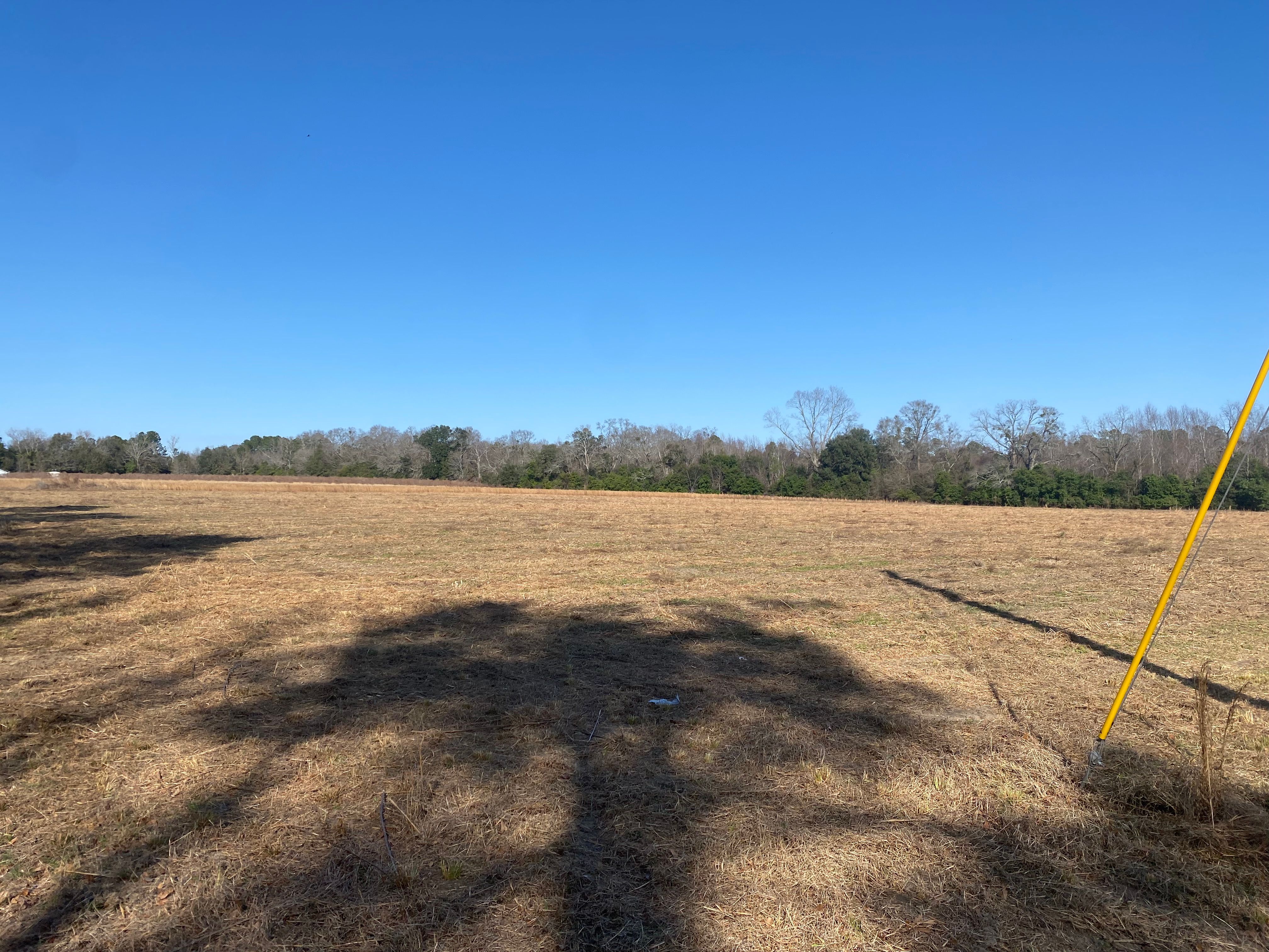  for T&S Land Management Services in Effingham County, GA