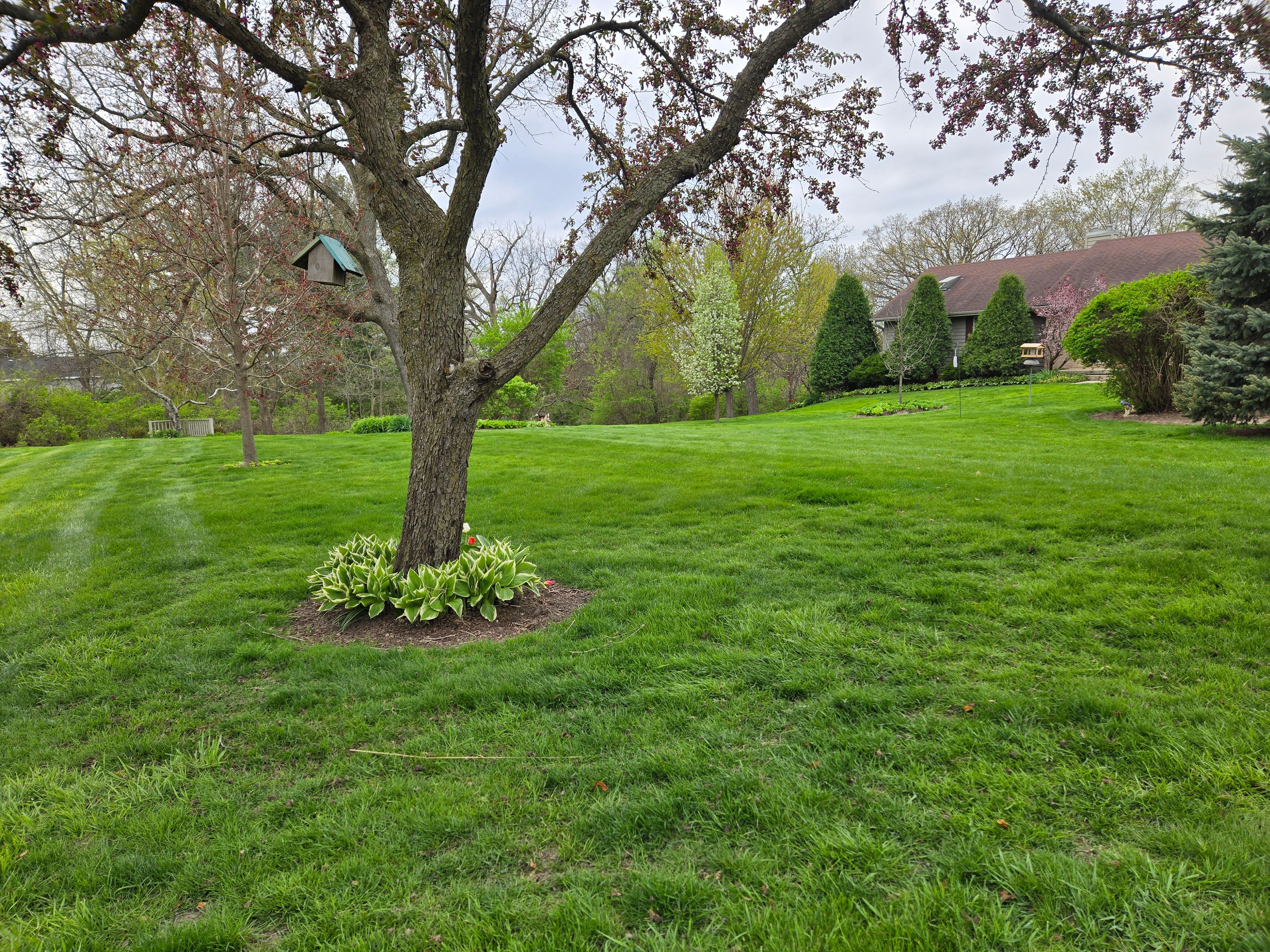 All Photos for Elite Landscaping in Hampshire, IL